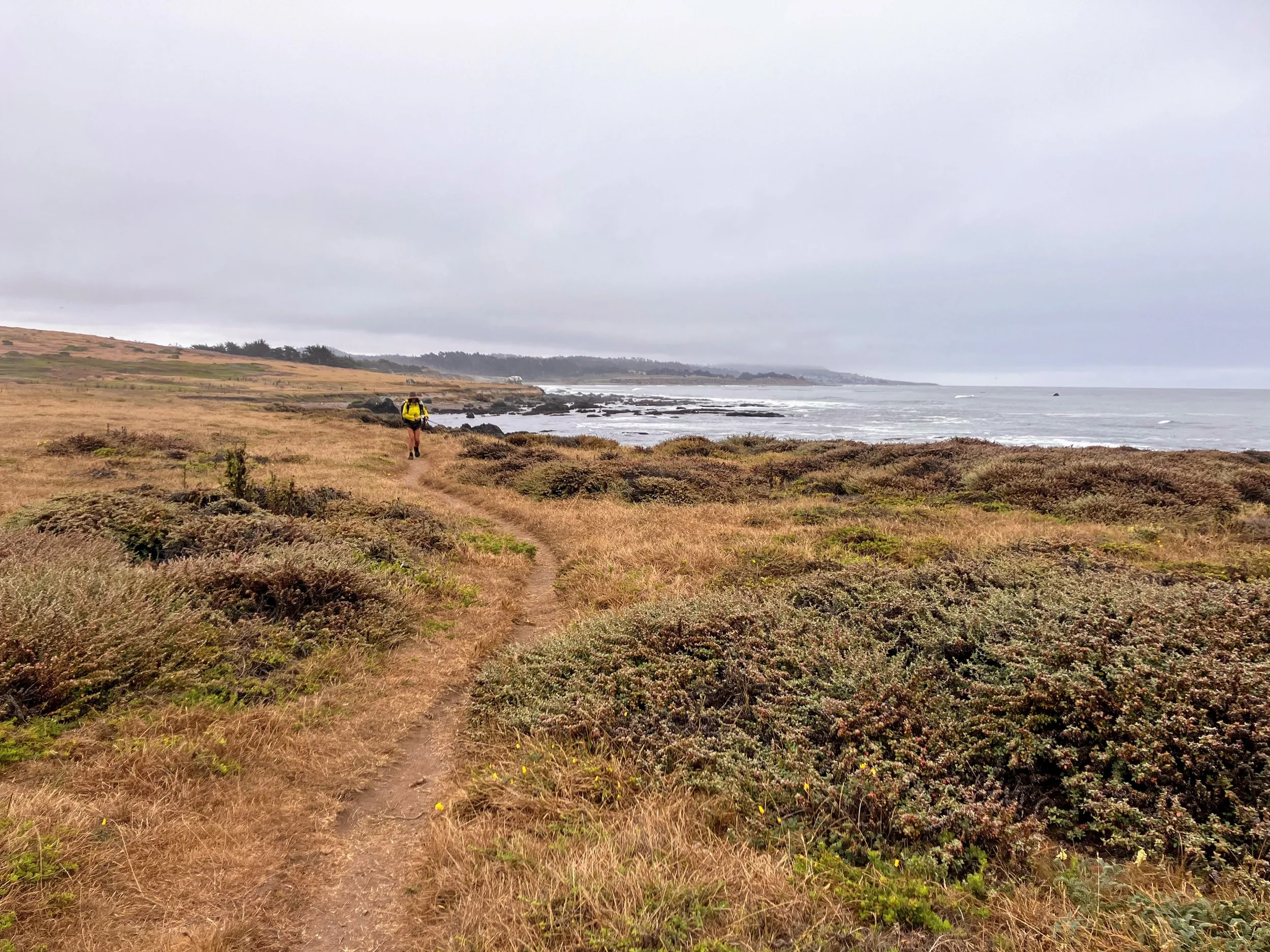 San Simeon