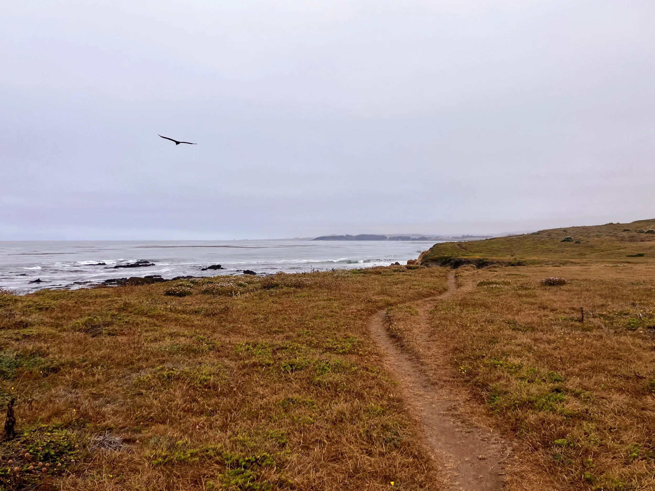 San Simeon