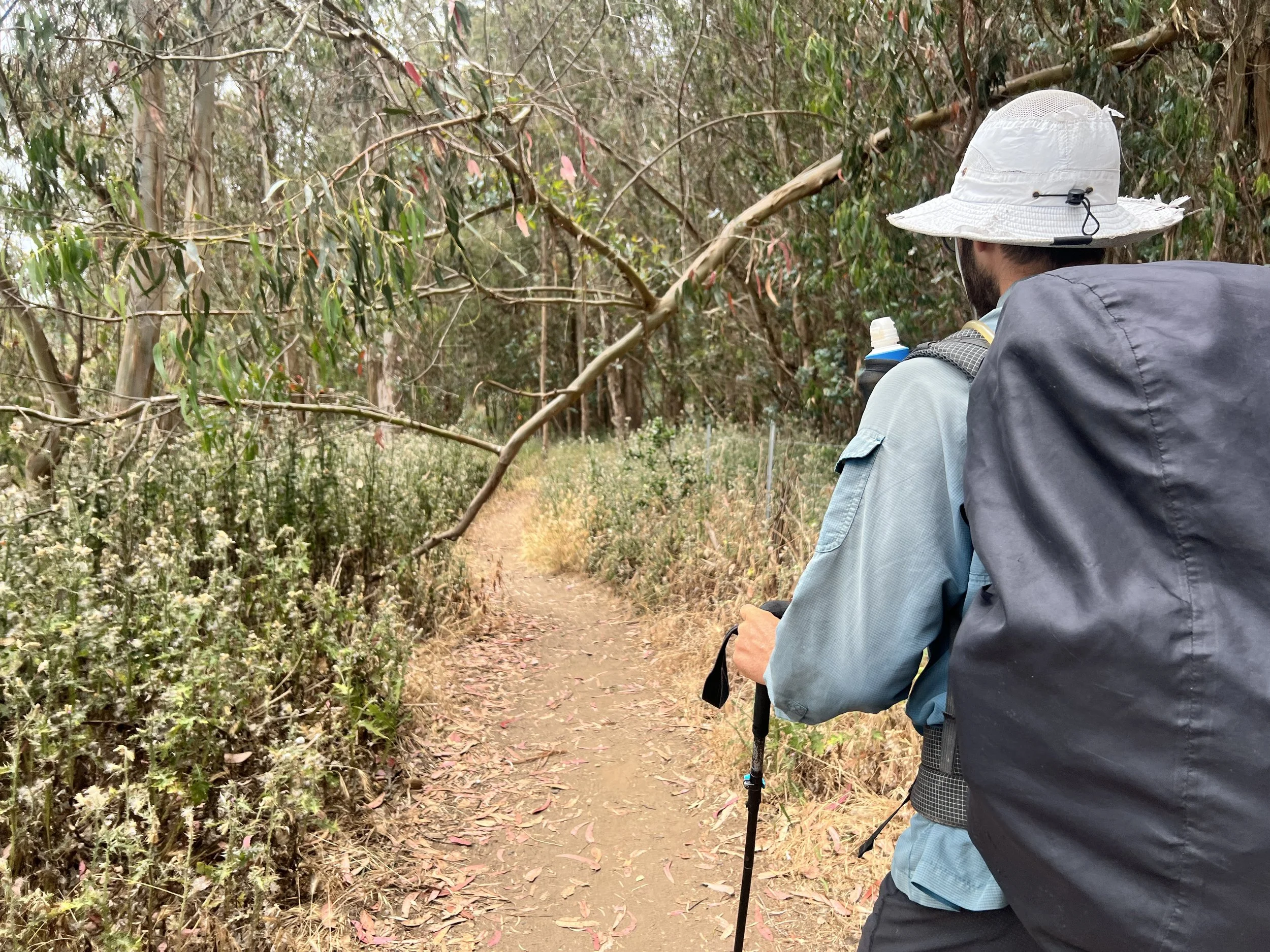 William Randolph Hearst Memorial Beach