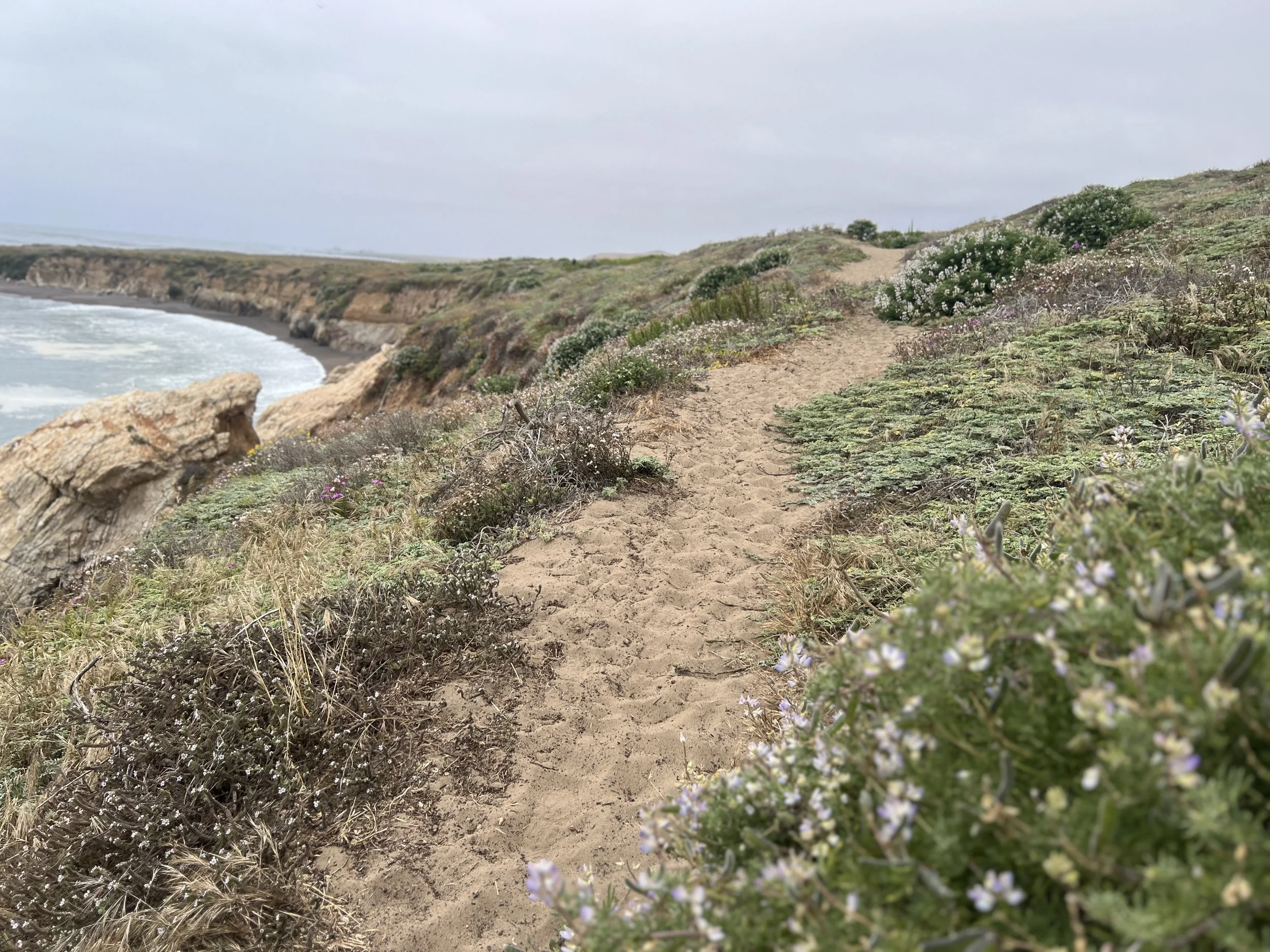 San Simeon Point Trail