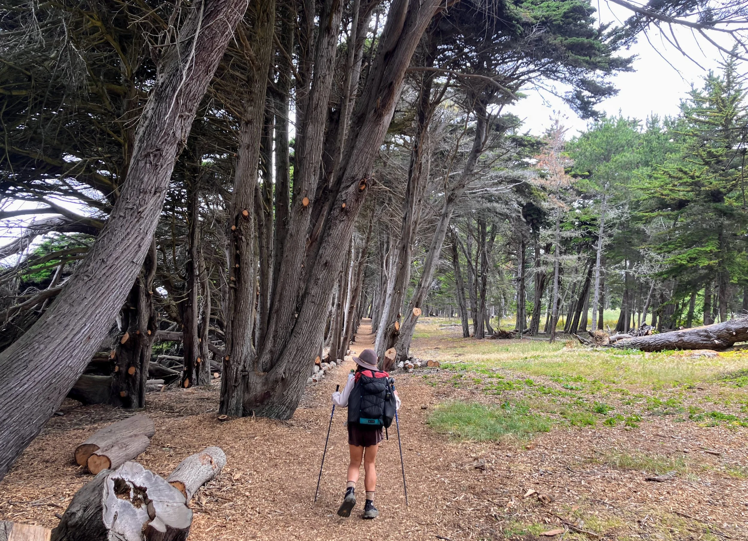 San Simeon Point Trail