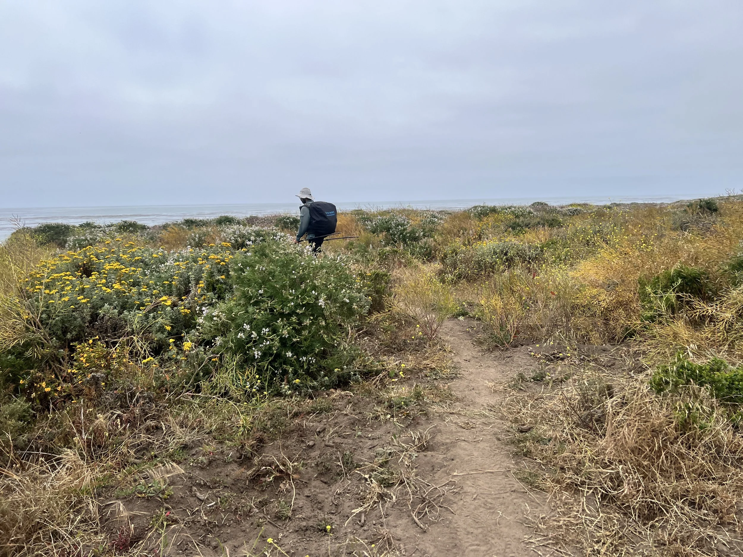 San Simeon Point Trail