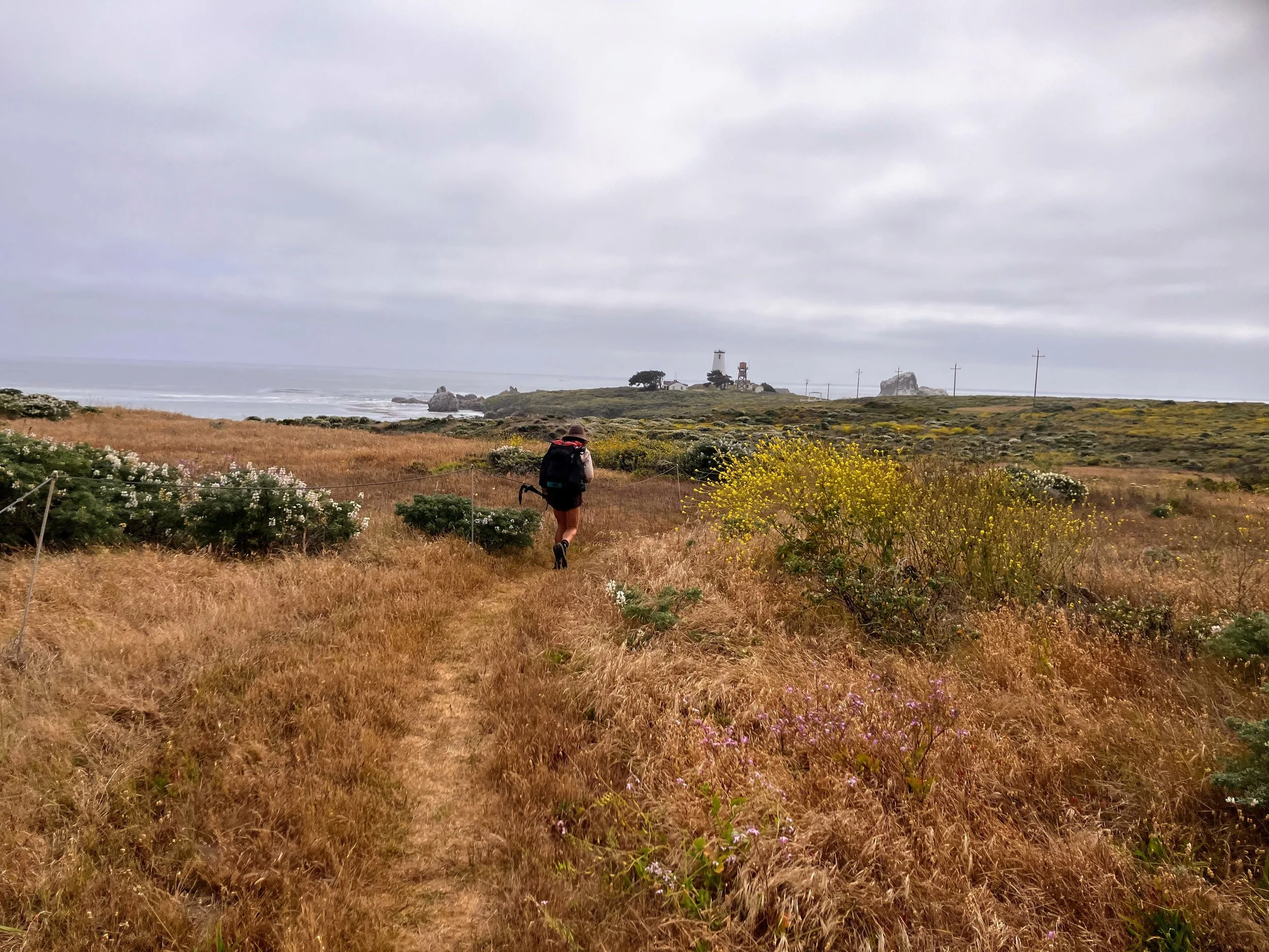 Piedras Blancas Light Station