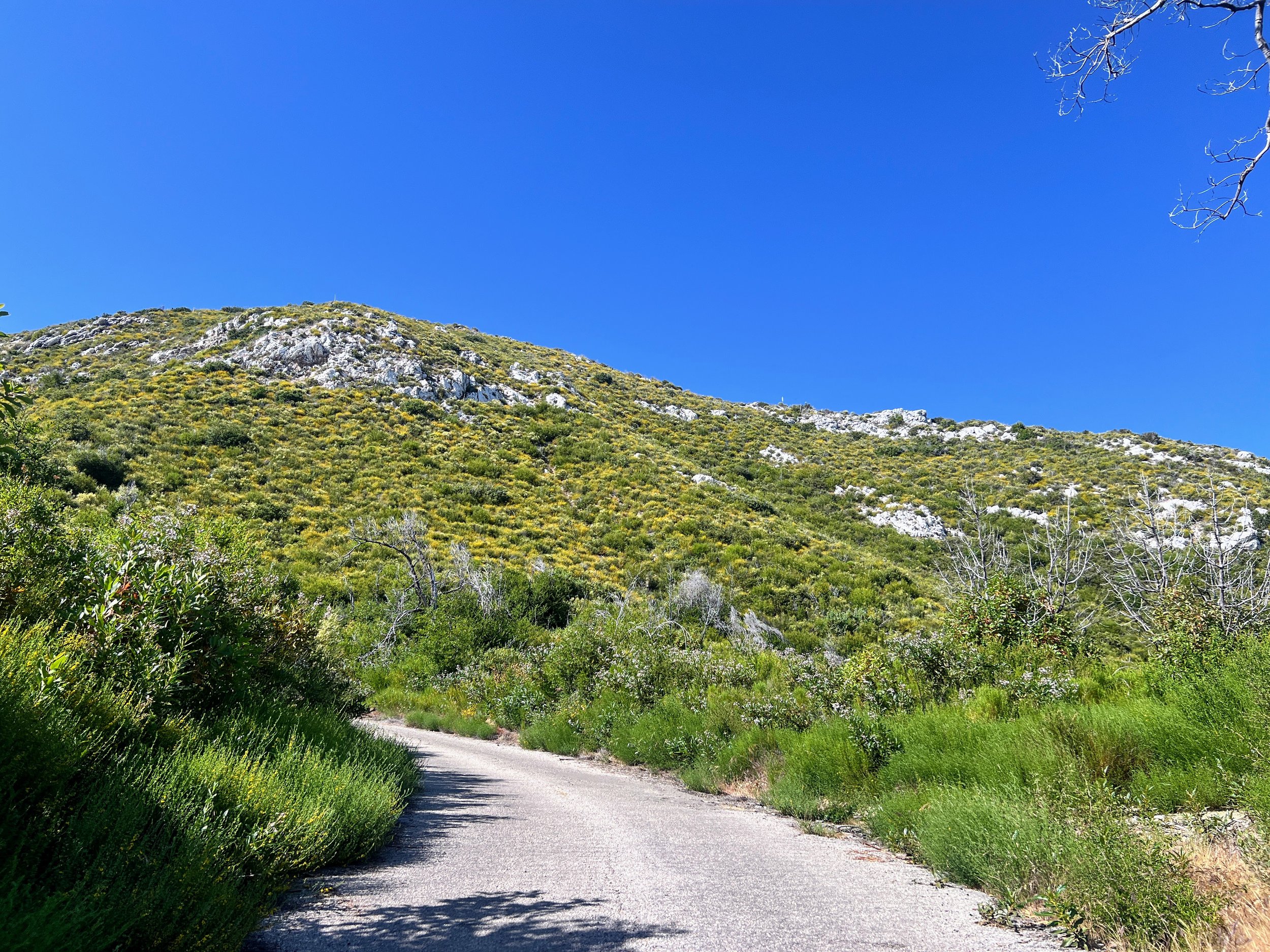 South Coast Ridge Road