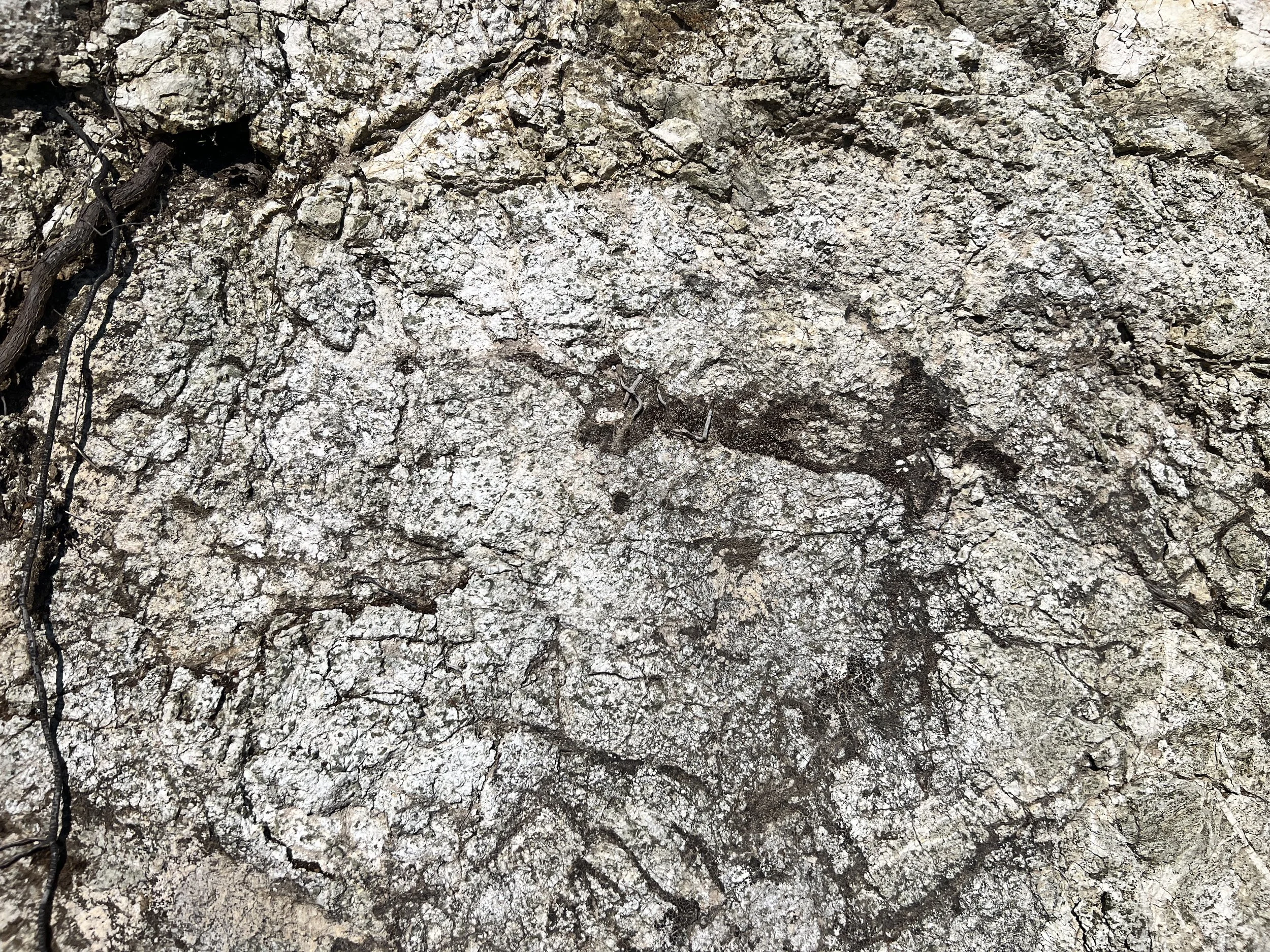 Close up of white rock