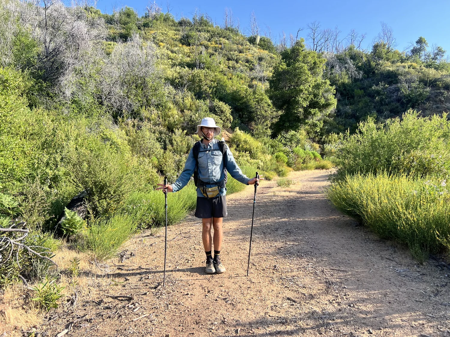 Condor Trail Part 6: Cone Peak Road to Big Sur Station — Lani Advokat
