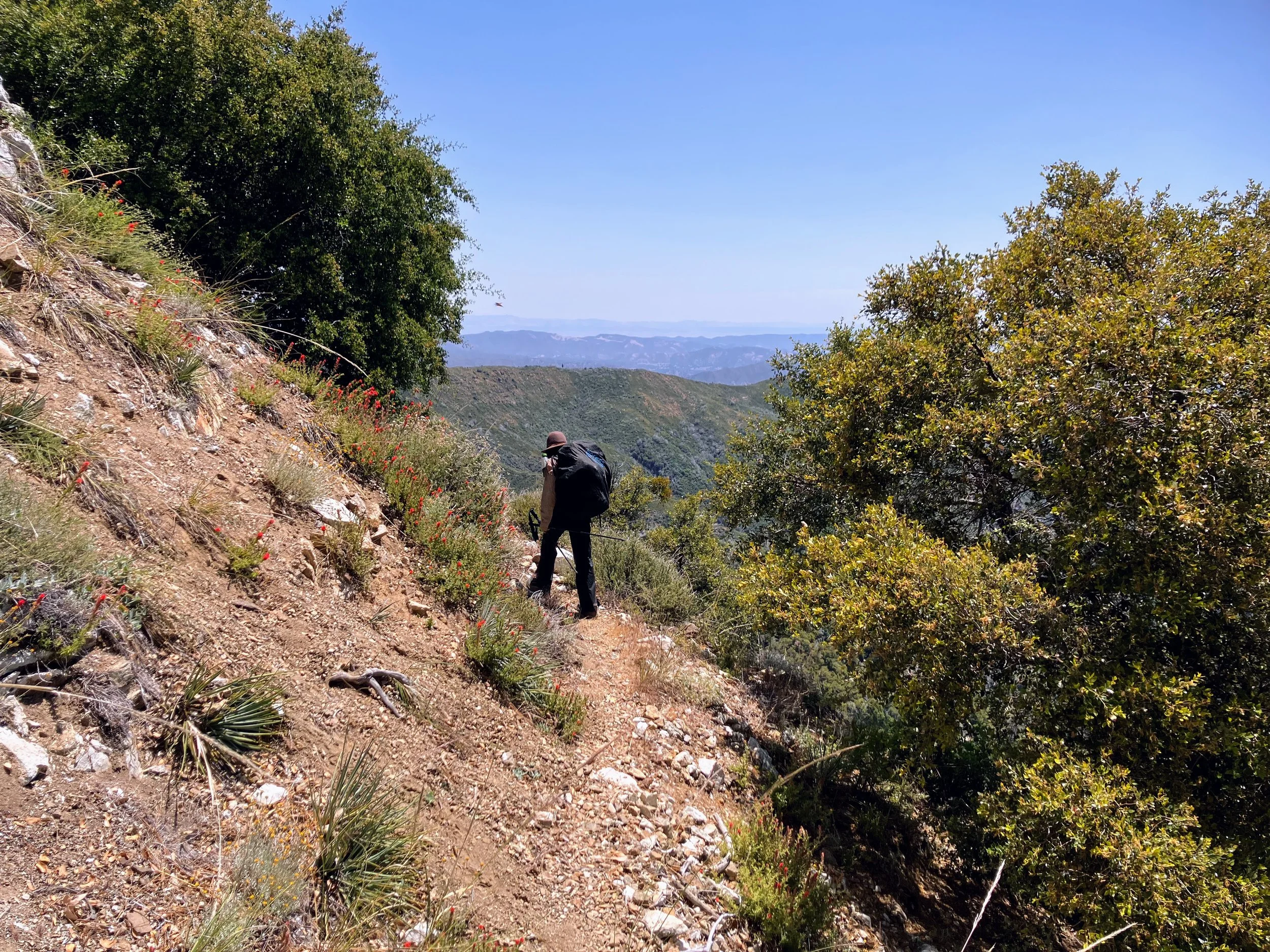 North Coast Ridge Trail 