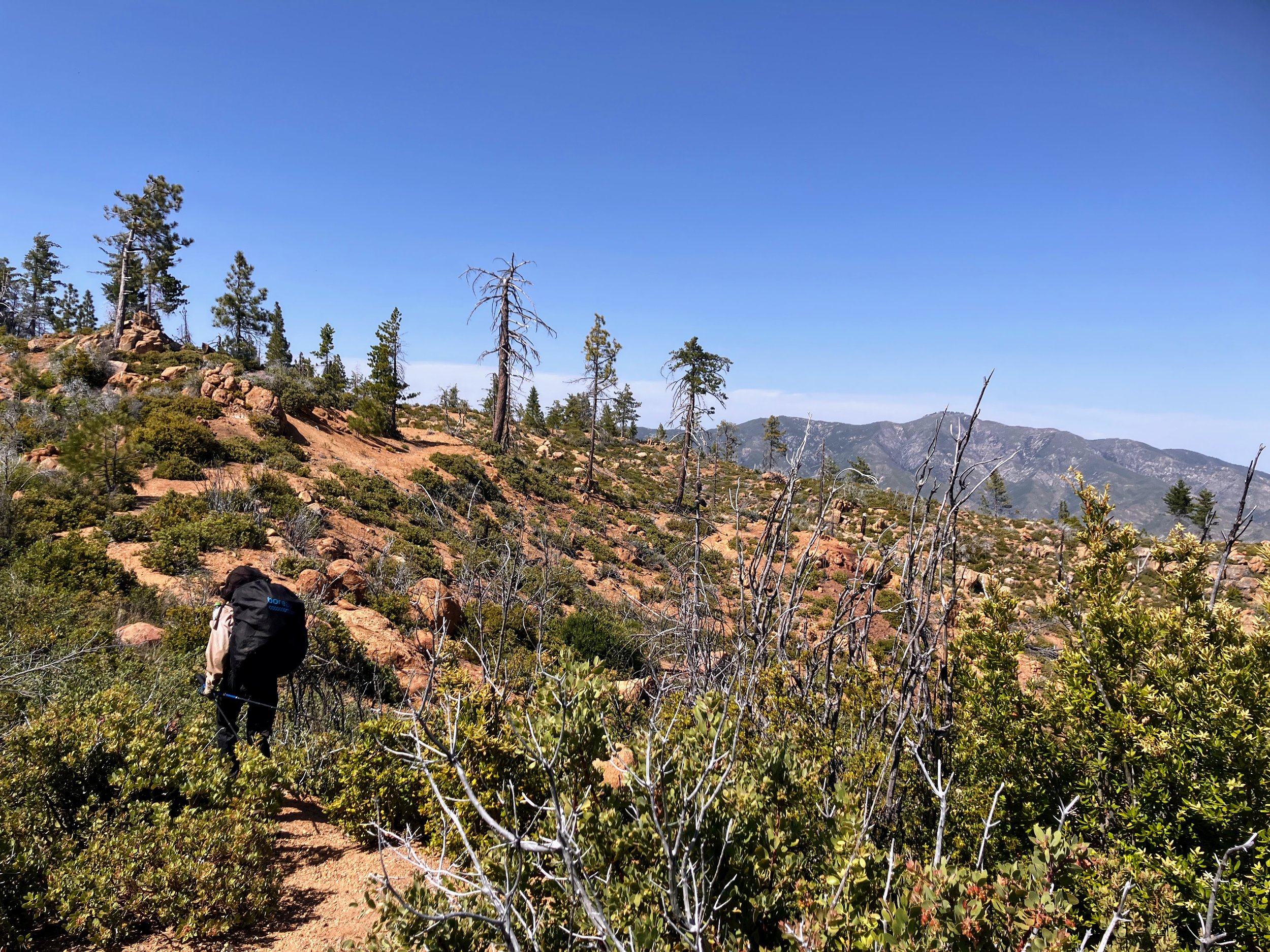 North Coast Ridge Trail