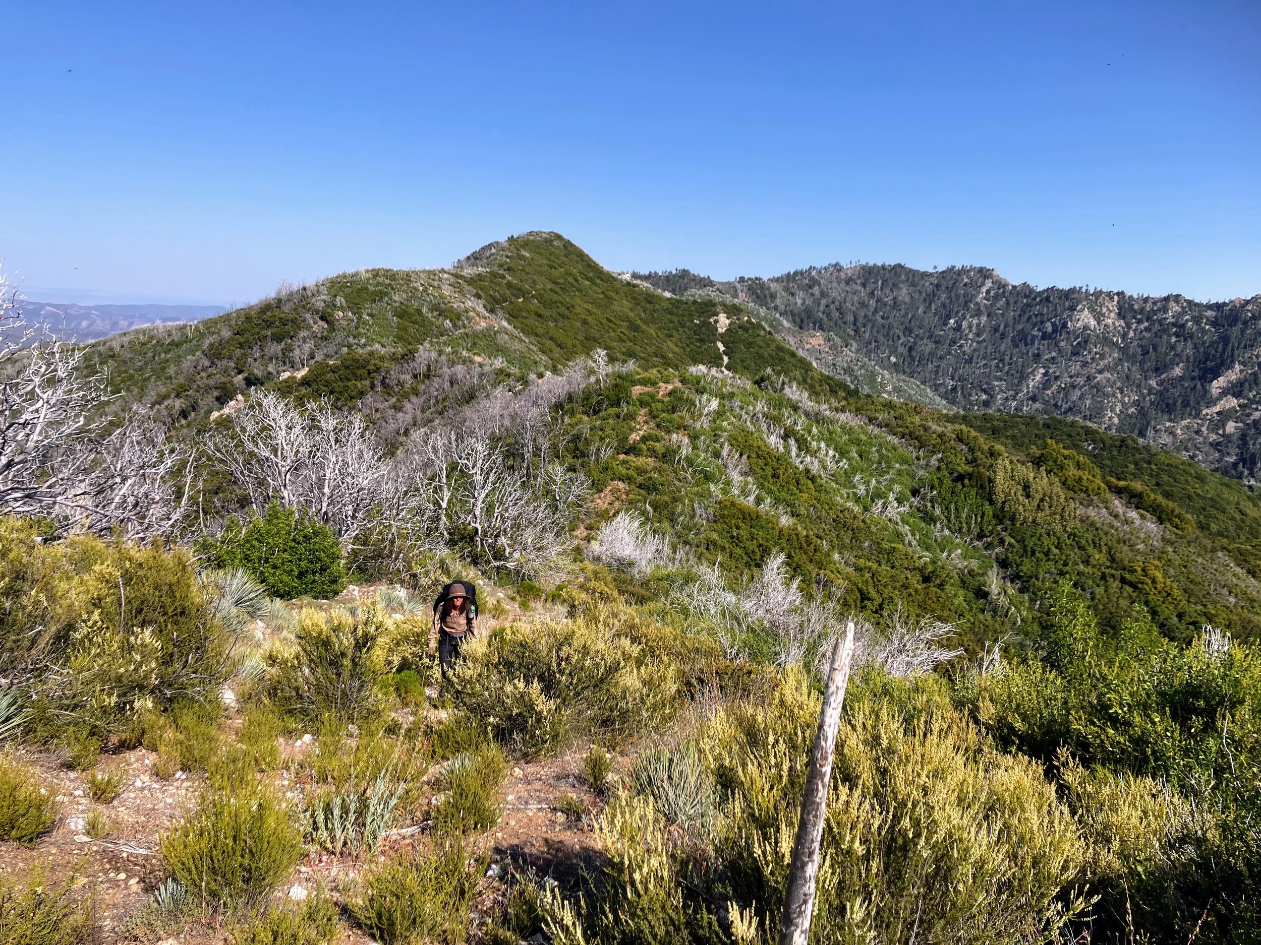 North Coast Ridge Trail