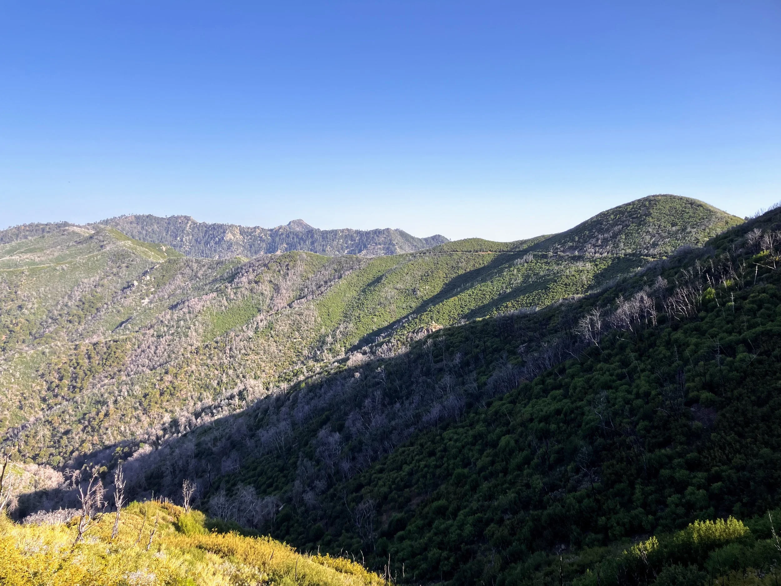 North Coast Ridge Trail