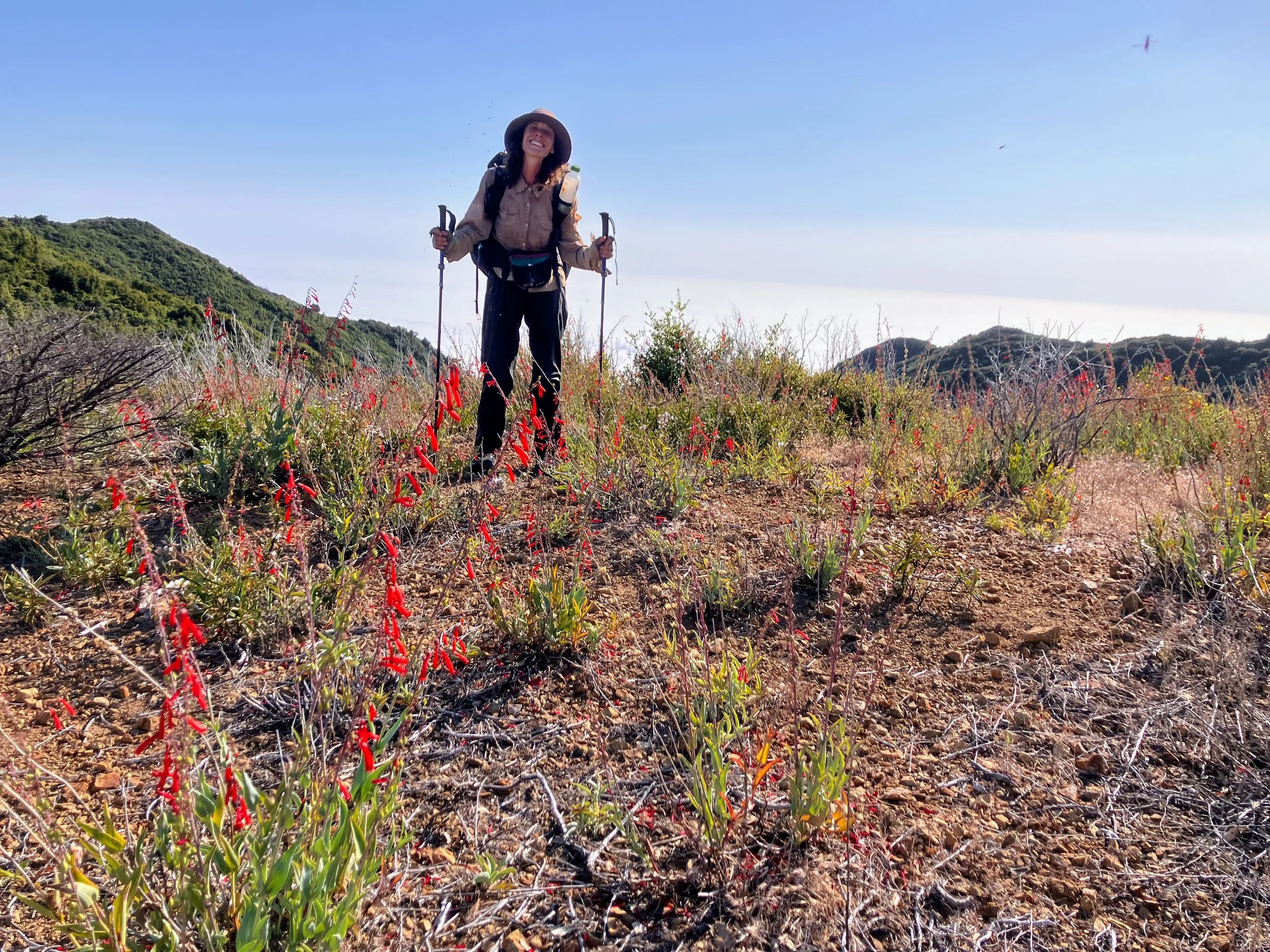 North Coast Ridge Trail