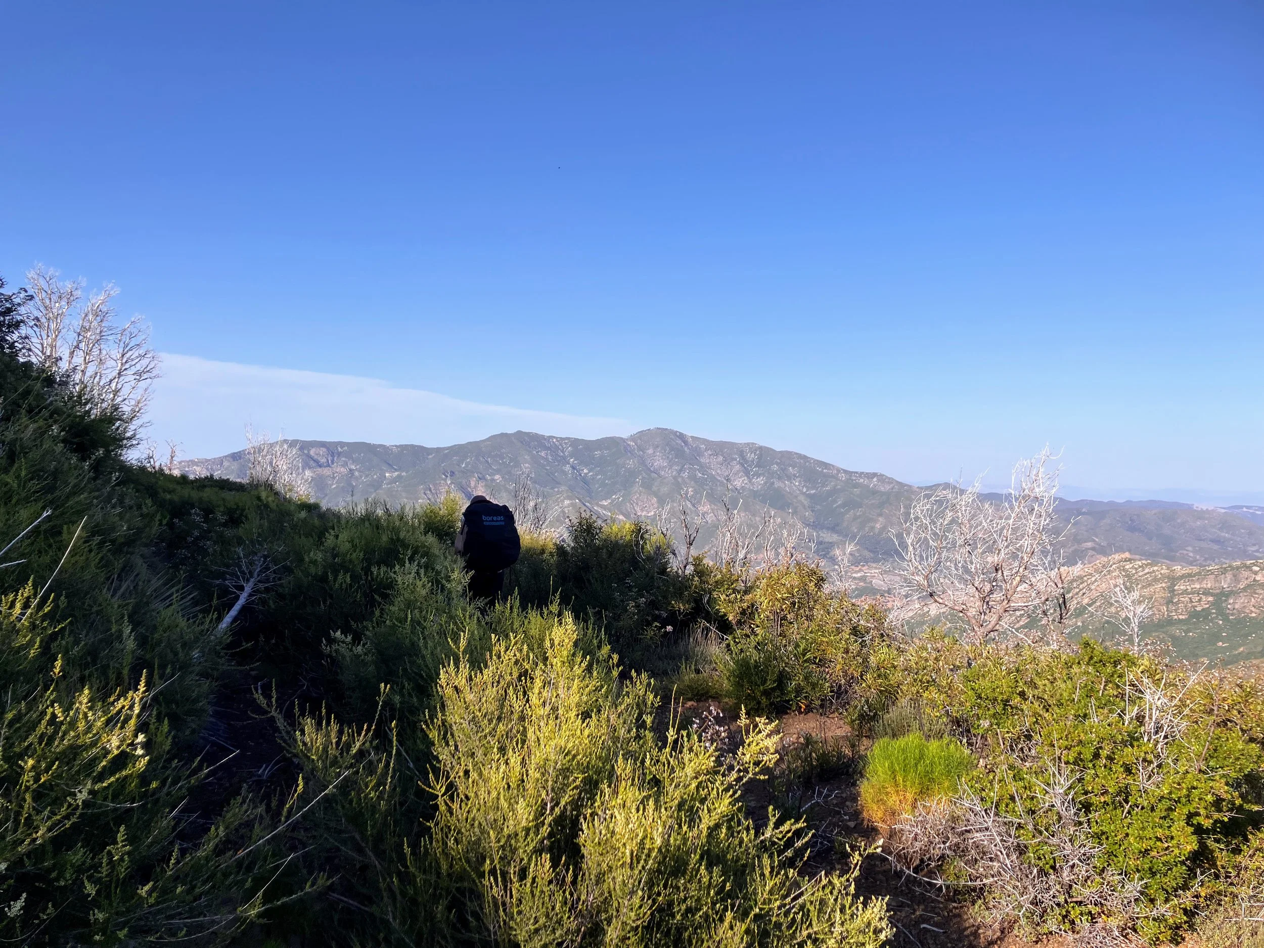 North Coast Ridge Trail