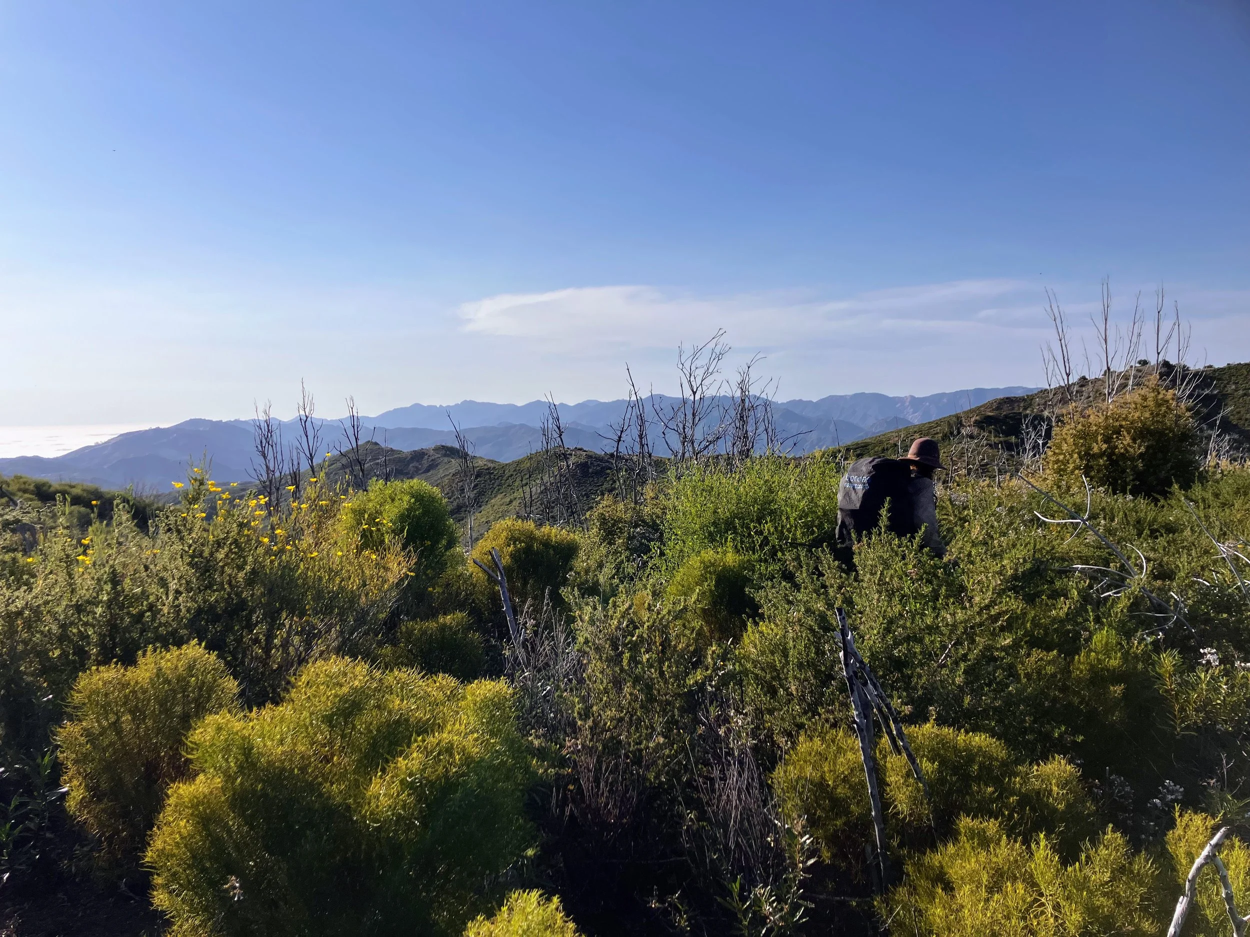 North Coast Ridge Trail