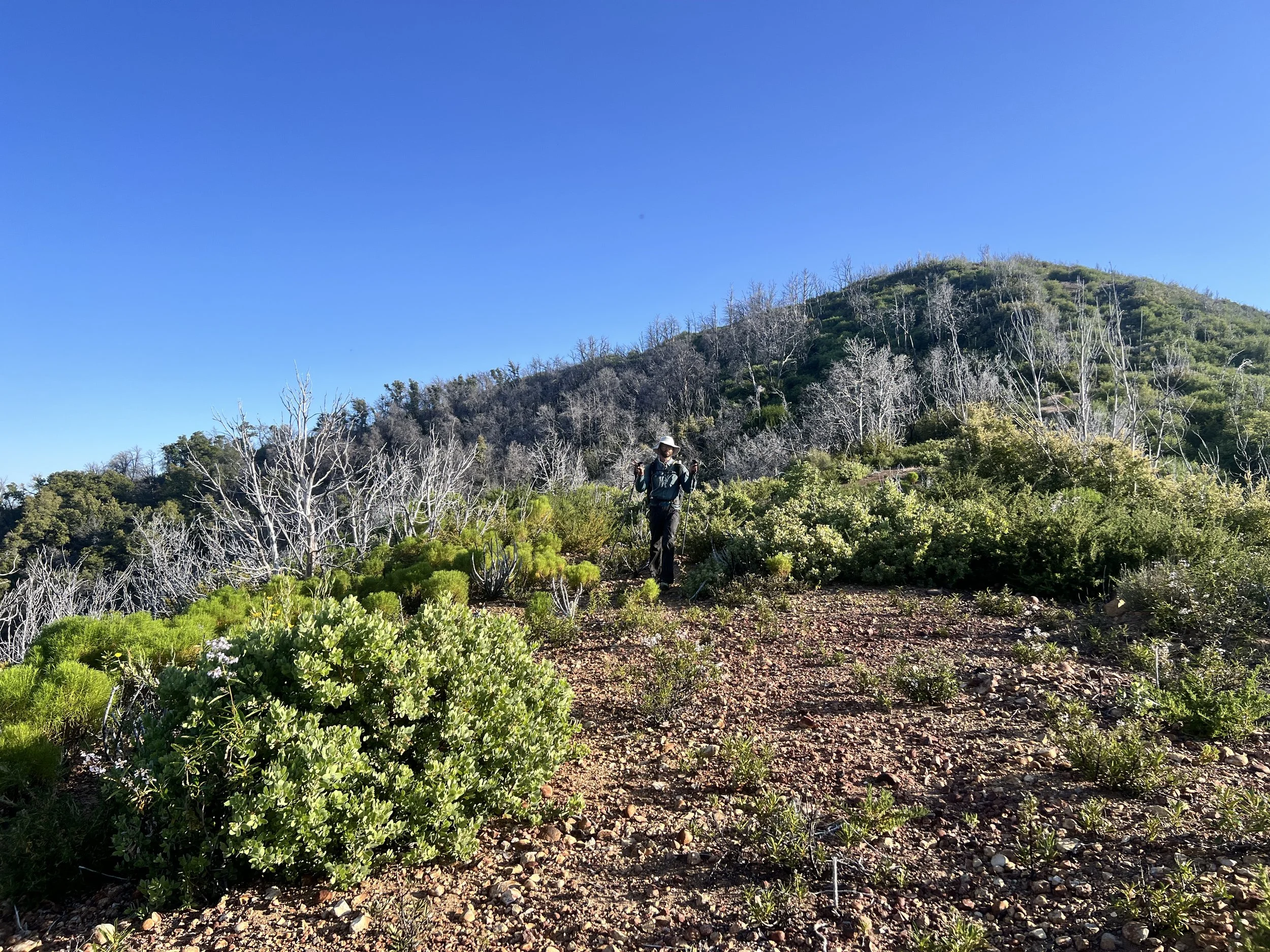 North Coast Ridge Trail