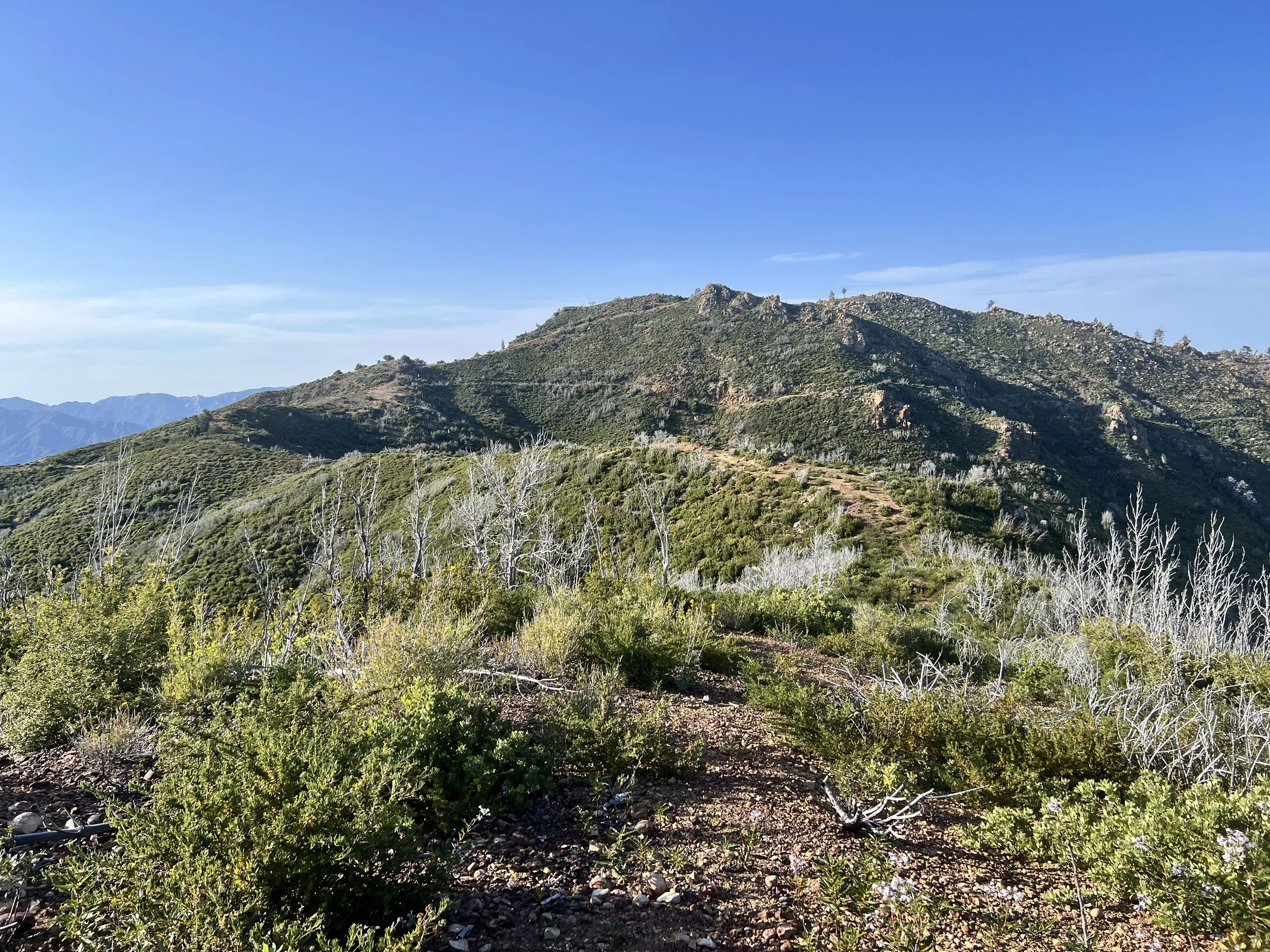 North Coast Ridge Trail
