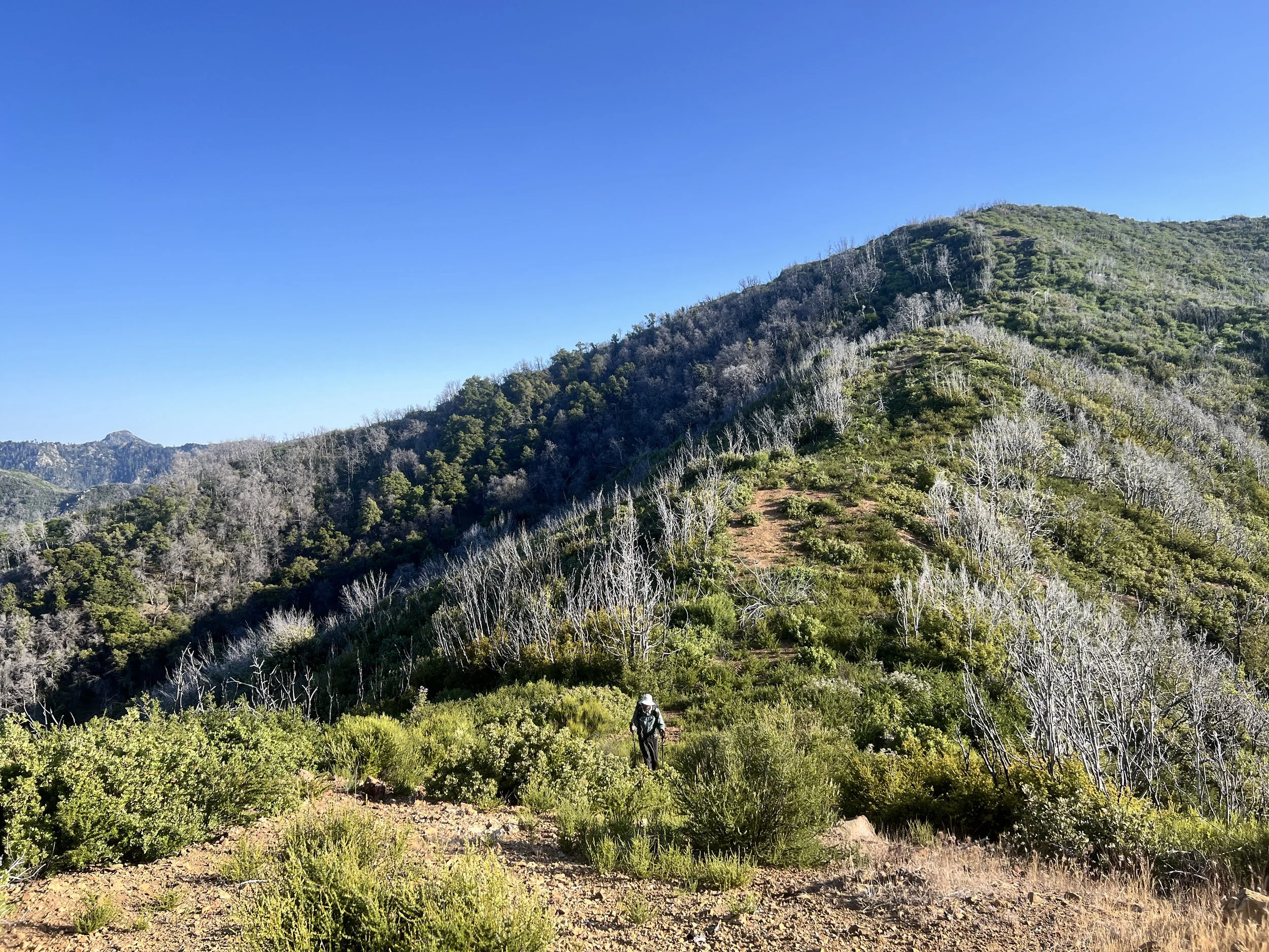 North Coast Ridge Trail