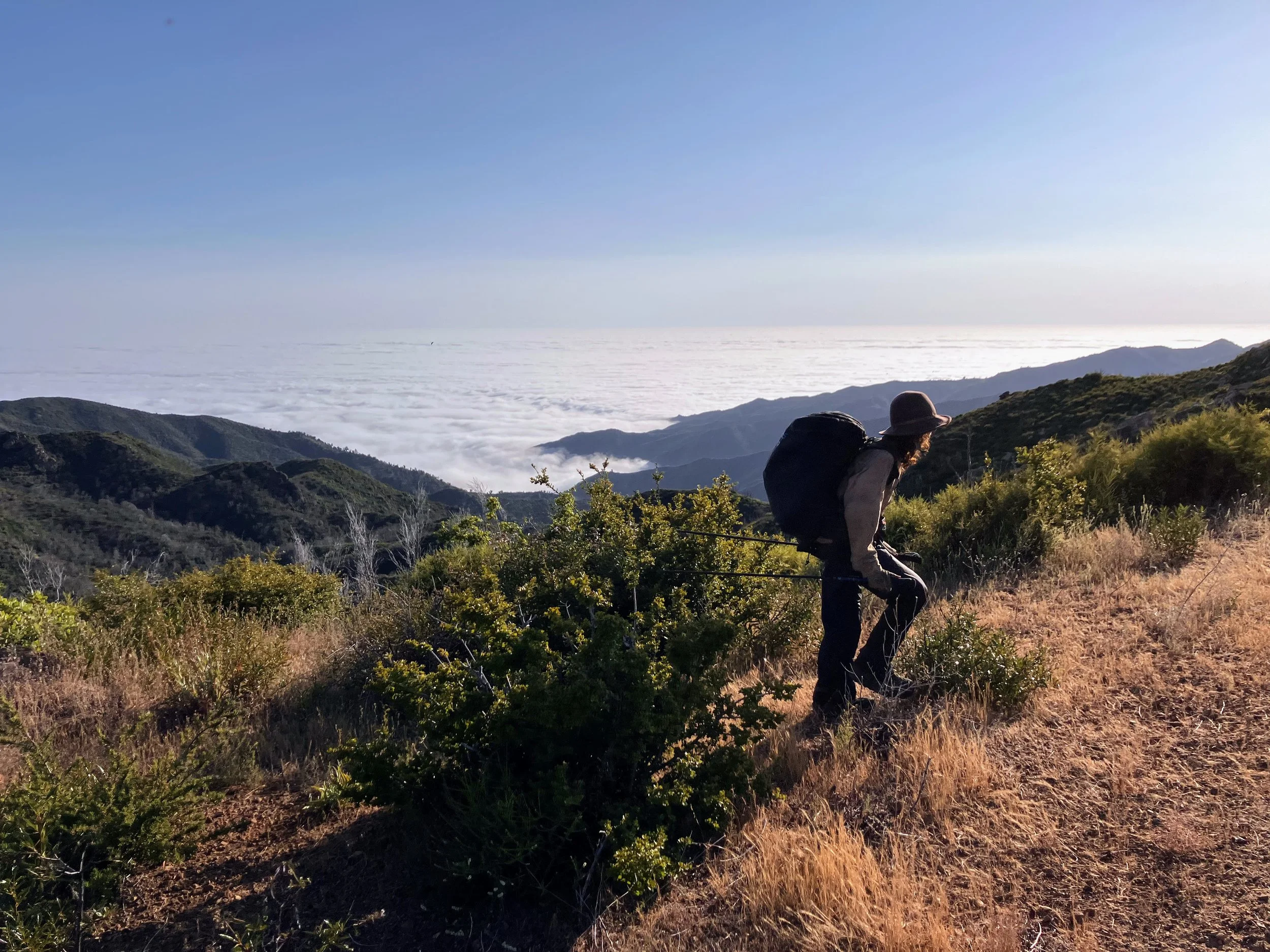 North Coast Ridge Trail