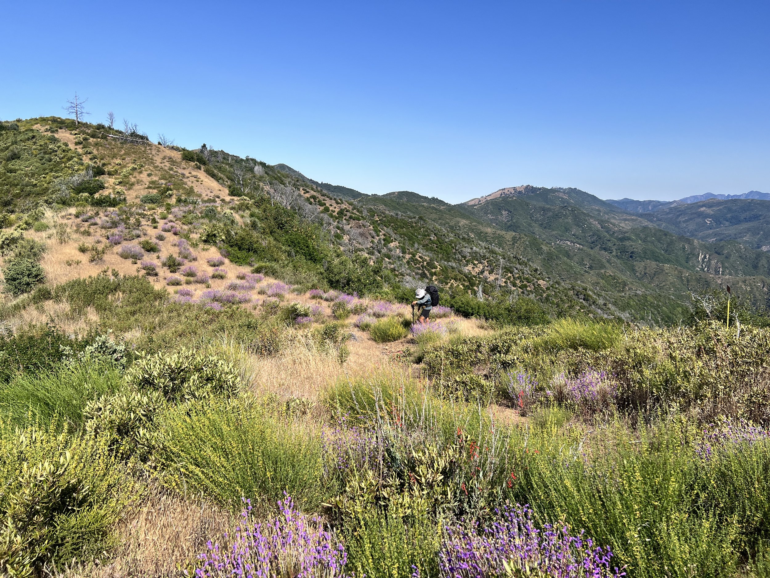 North Coast Ridge Trail