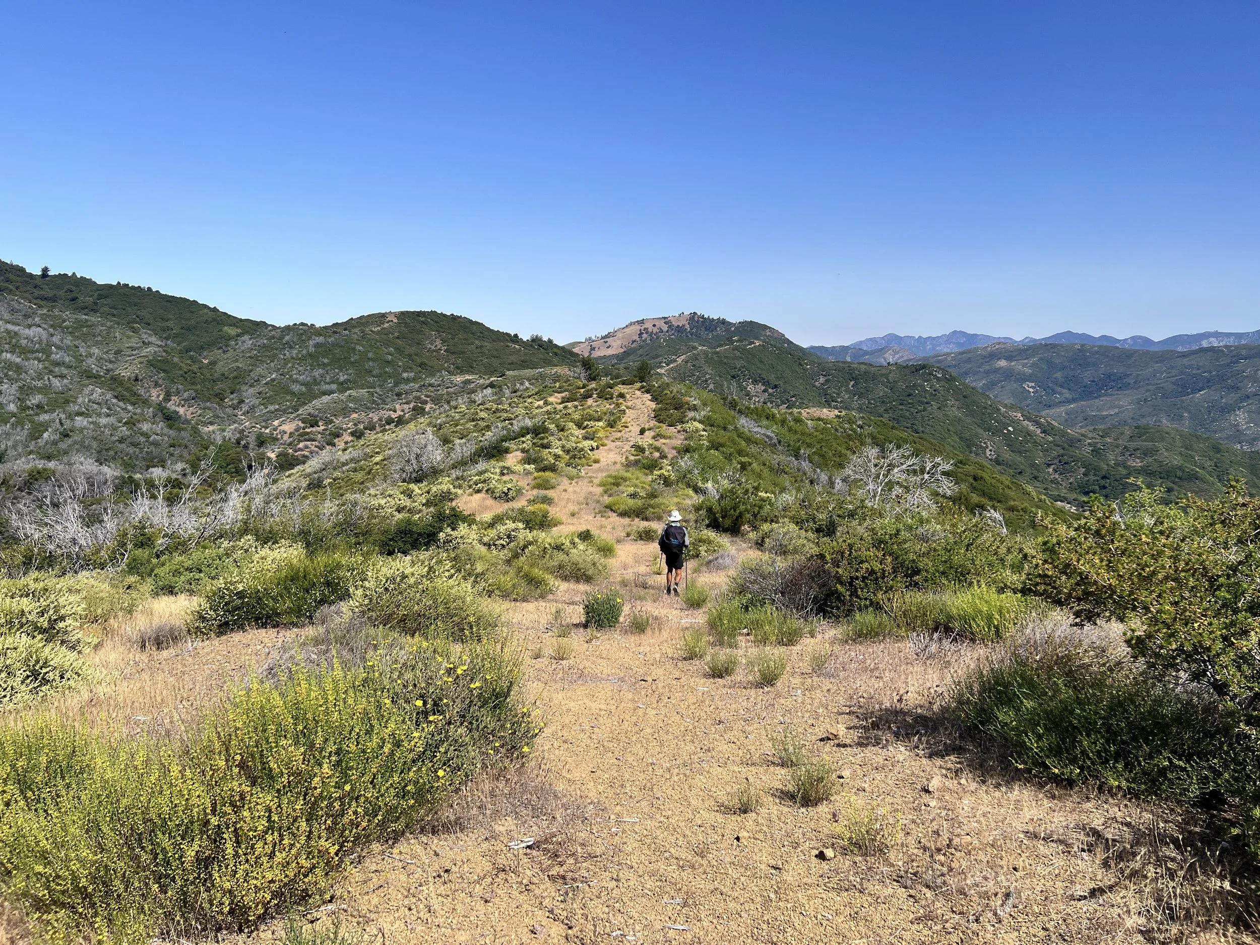 North Coast Ridge Trail