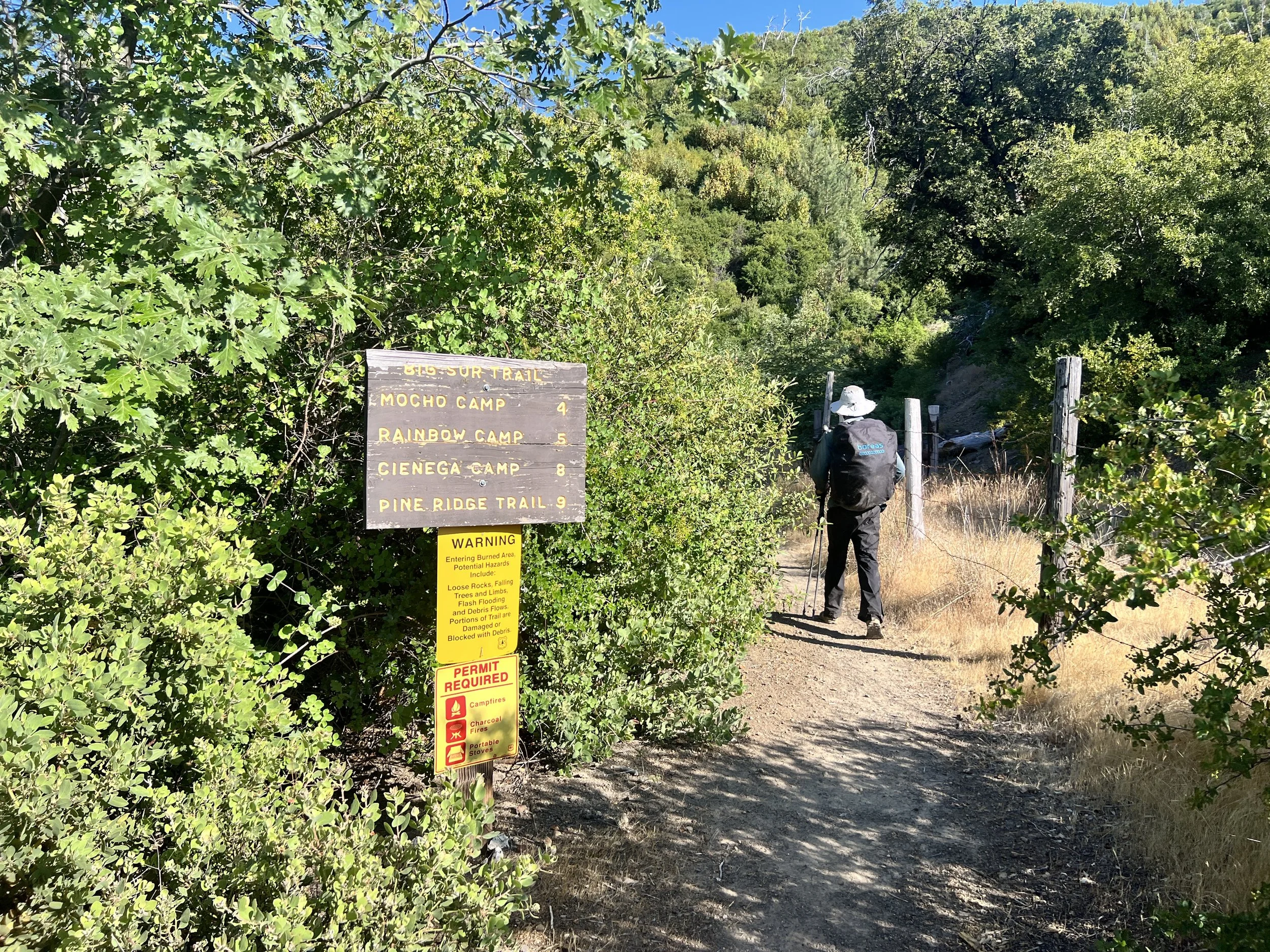 Big Sur Trail