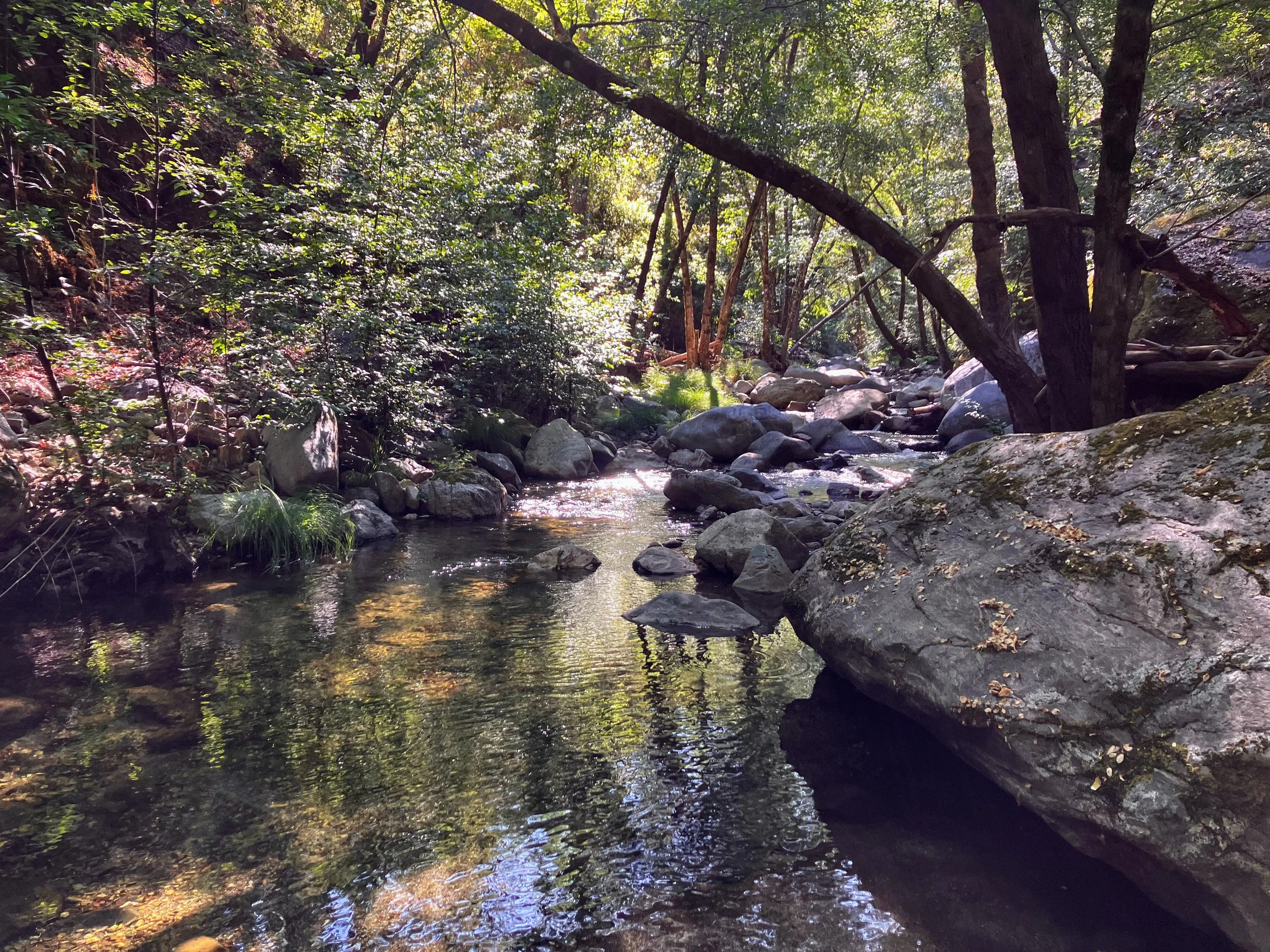 South Fork Big Sur River