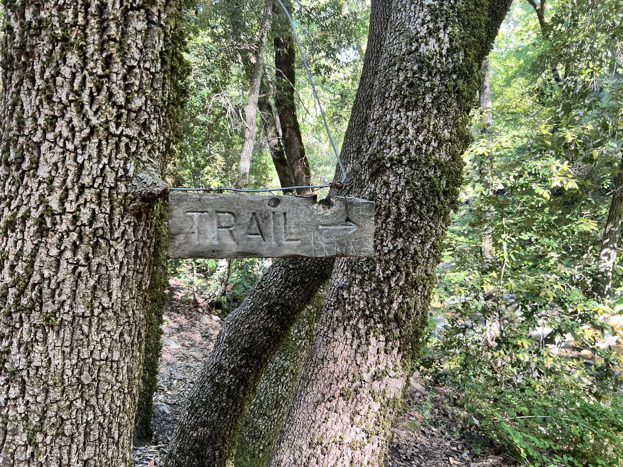 Big Sur Trail
