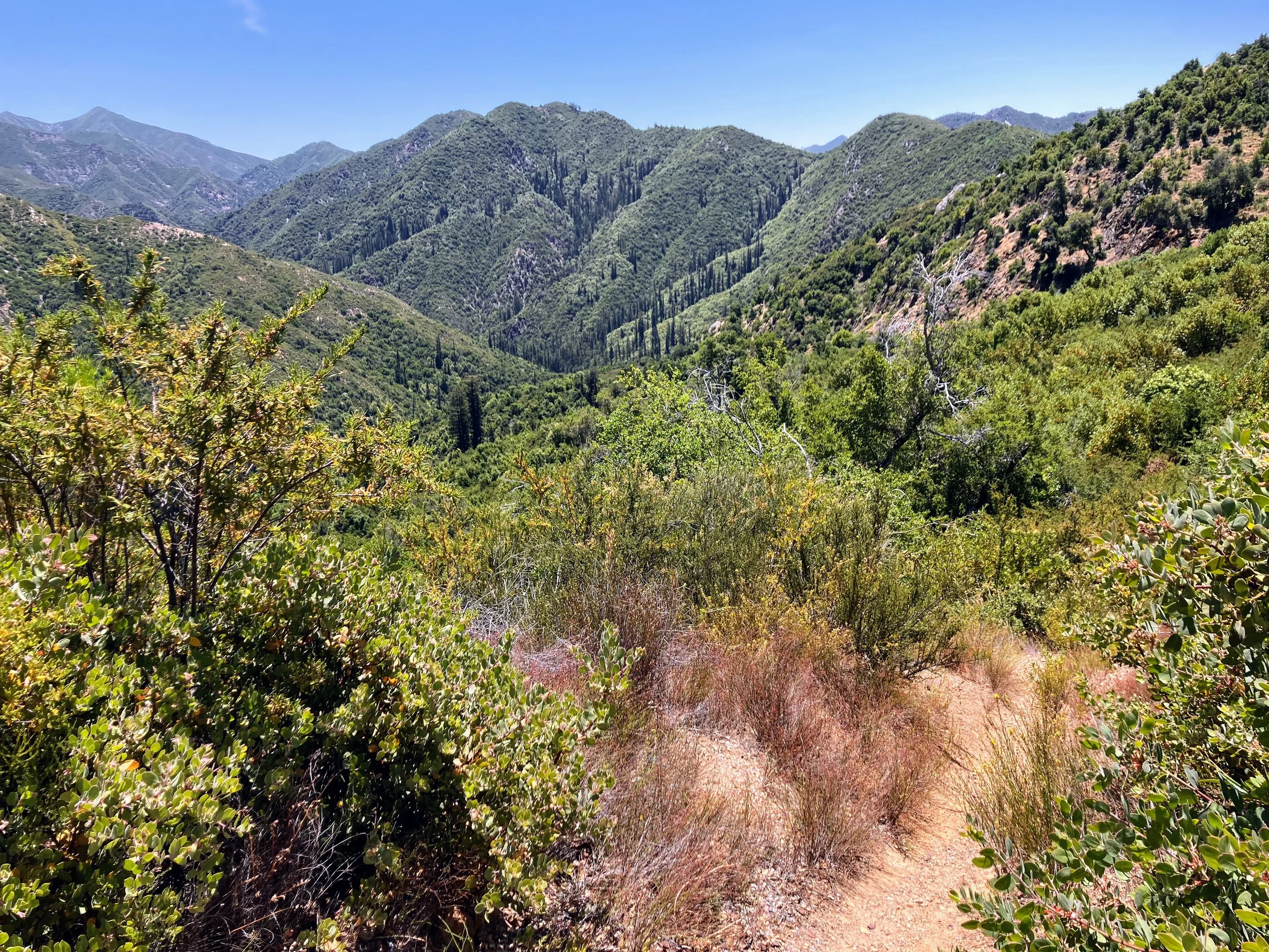 Big Sur Trail