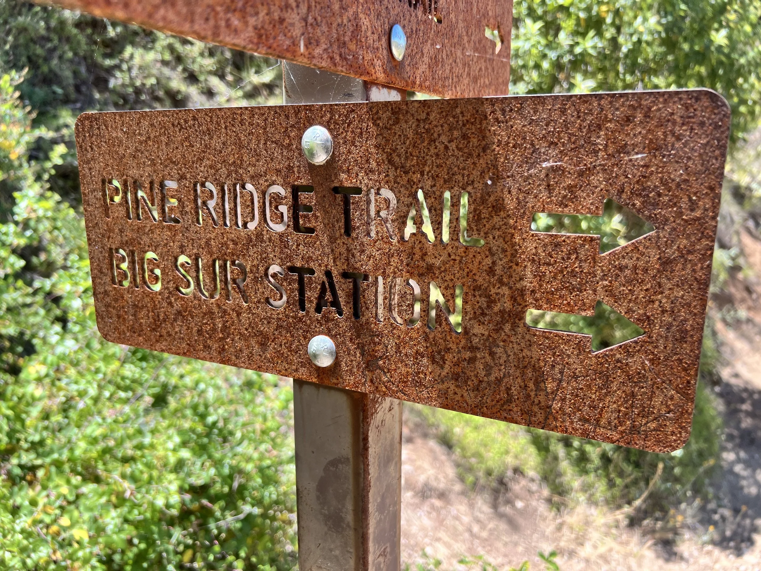 Pine Ridge Trail