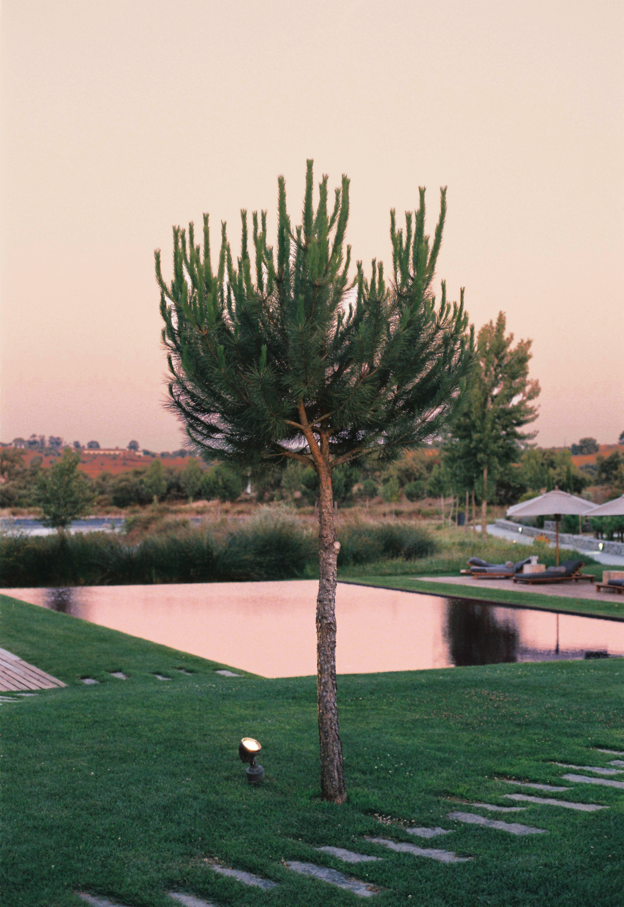 000035i.jpg