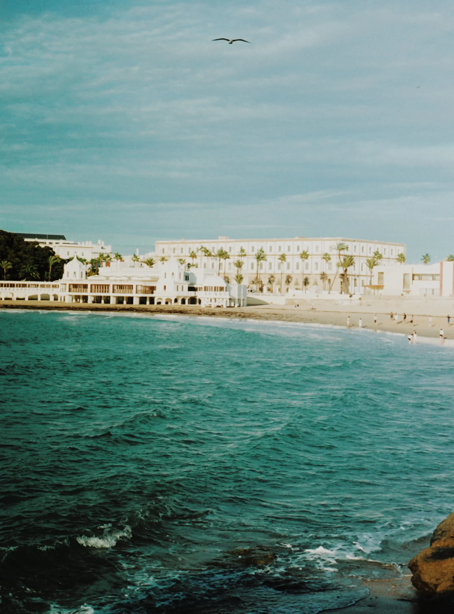 8247133A-2561-44E9-BEEE-EC44BE123E49 5.JPG