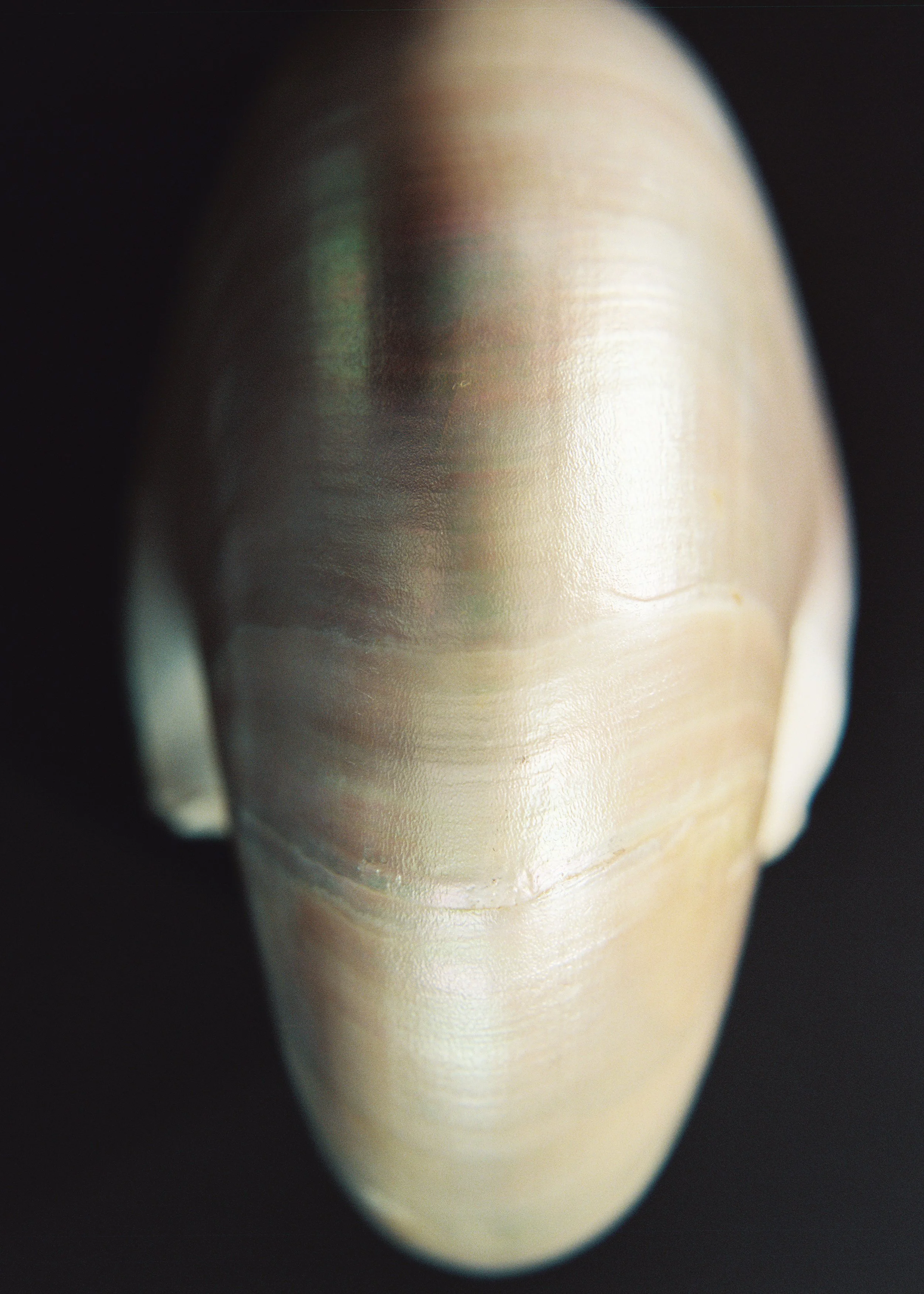 8088R10-R01-005 copy.jpg