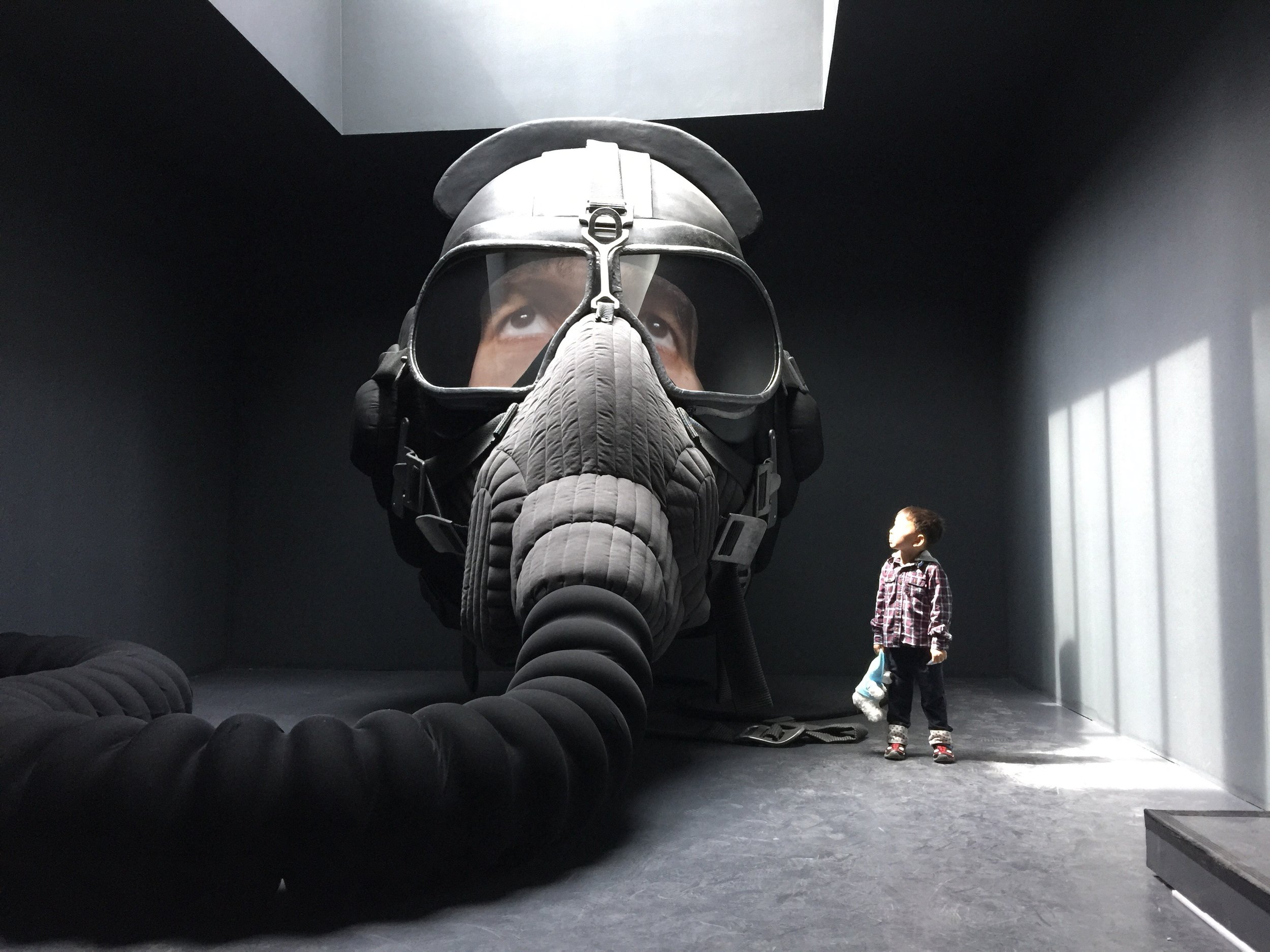 Highlights from the most recent Biennale. Photo by Erica Firpo.