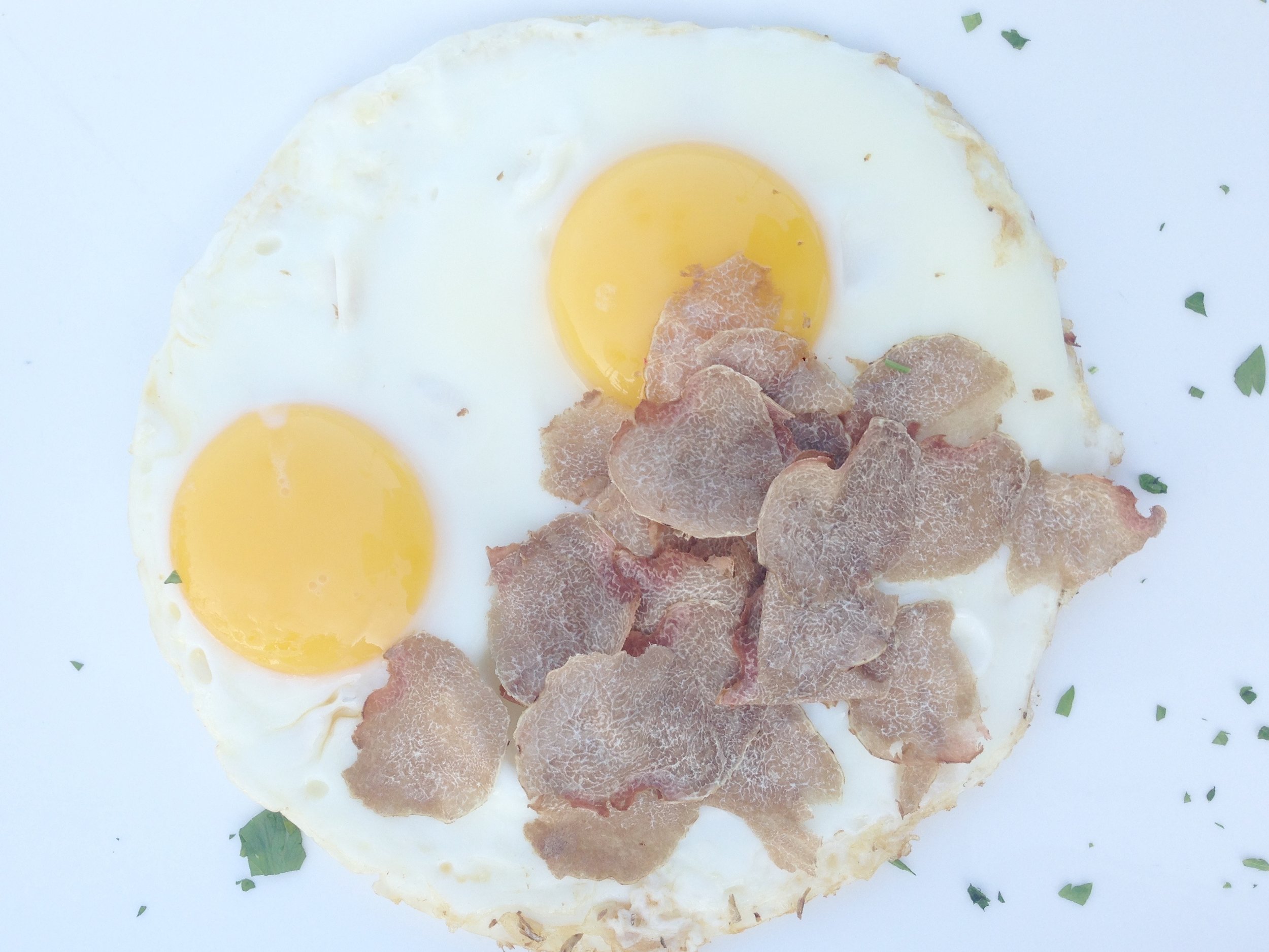 Egg and Truffle.jpg
