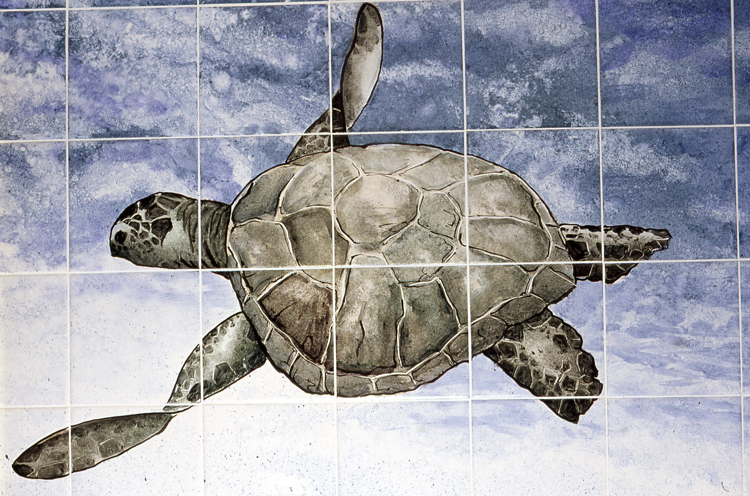 Turtle