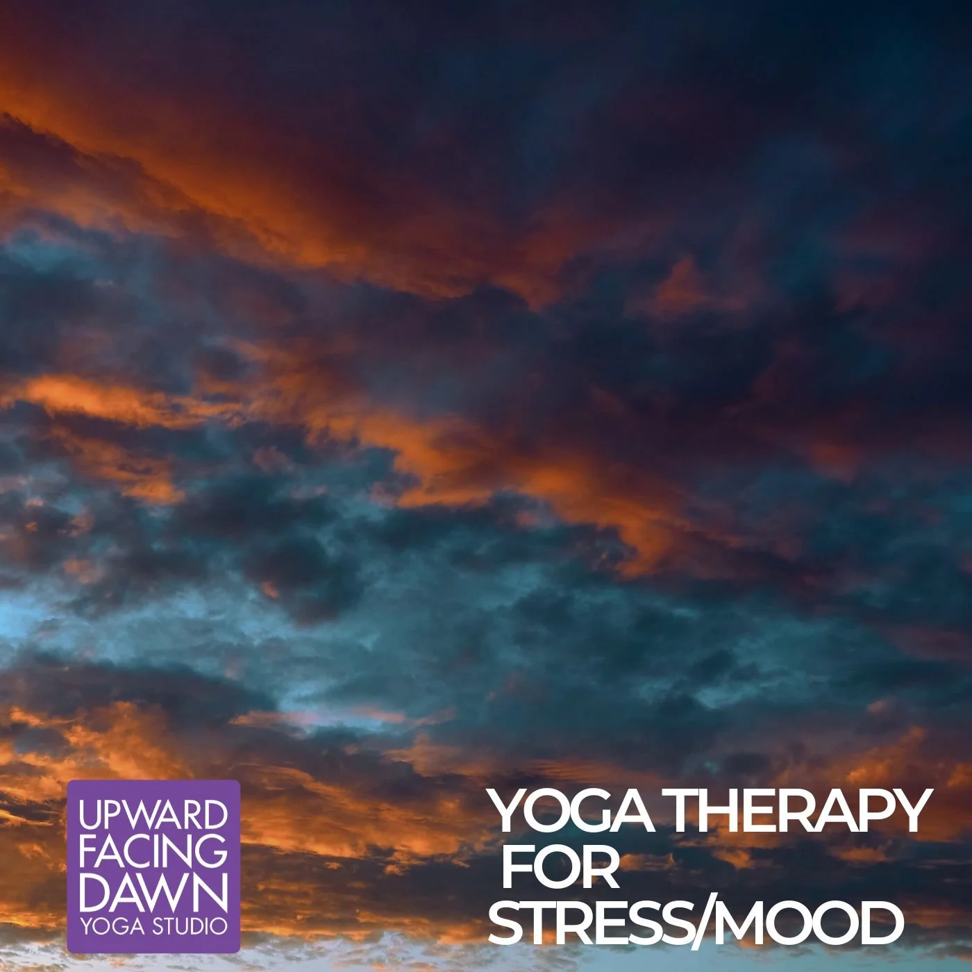 Yoga Therapy for Stress/Mood Series