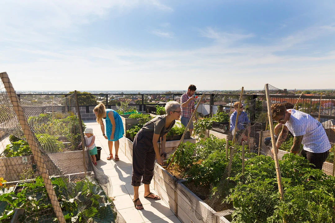 The rooftop of The Commons. Photo by Andrew Wuttke