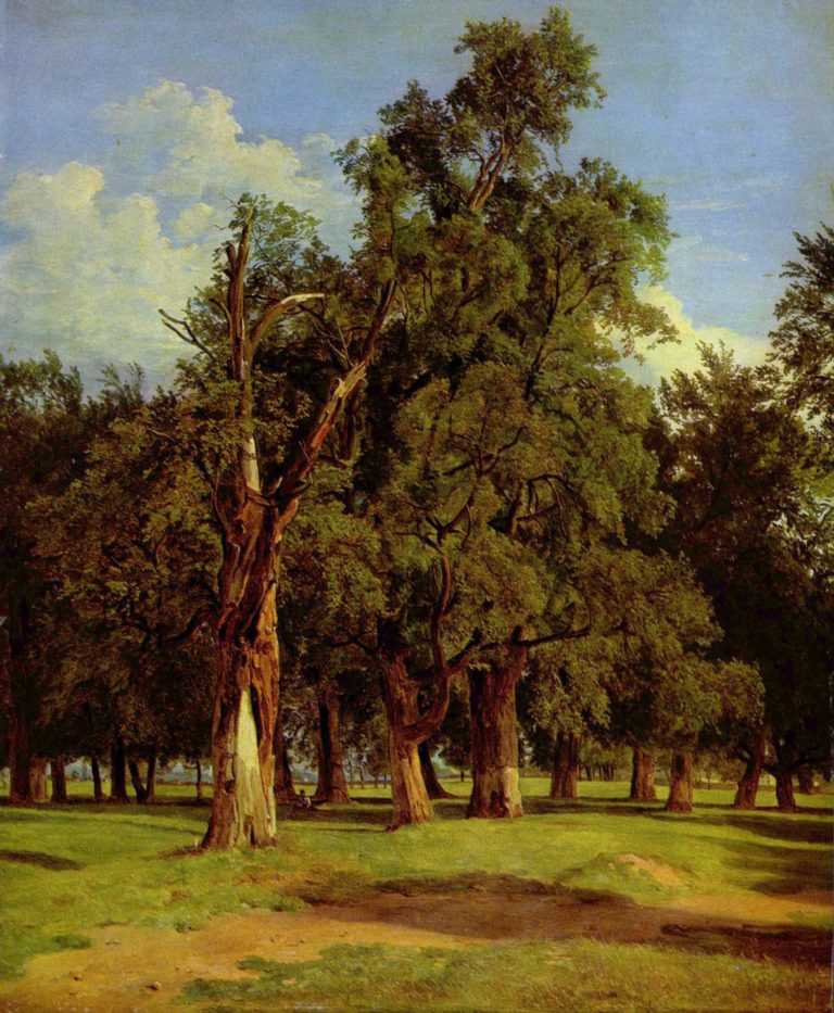 Ferdinand Georg Waldmüller, Old Elms in Prater , 1831. Image Source .
