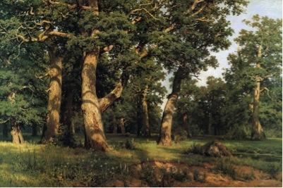 Ivan Shishkin, The Oak Grove , 1887. Image Source
