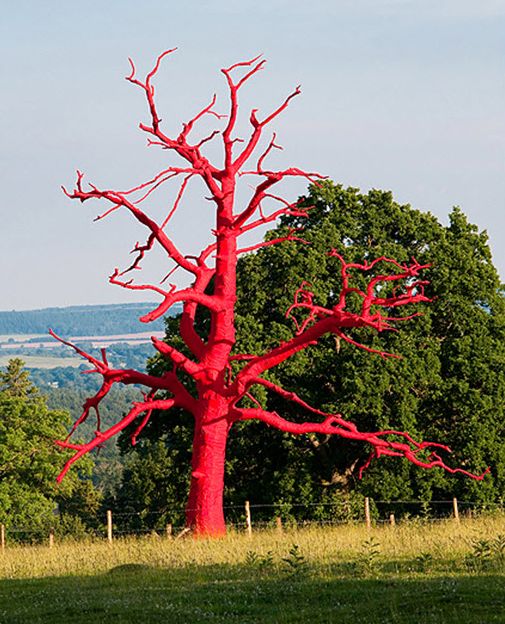 Phillipa Lawrence, Bound V57, 2011. Image Source