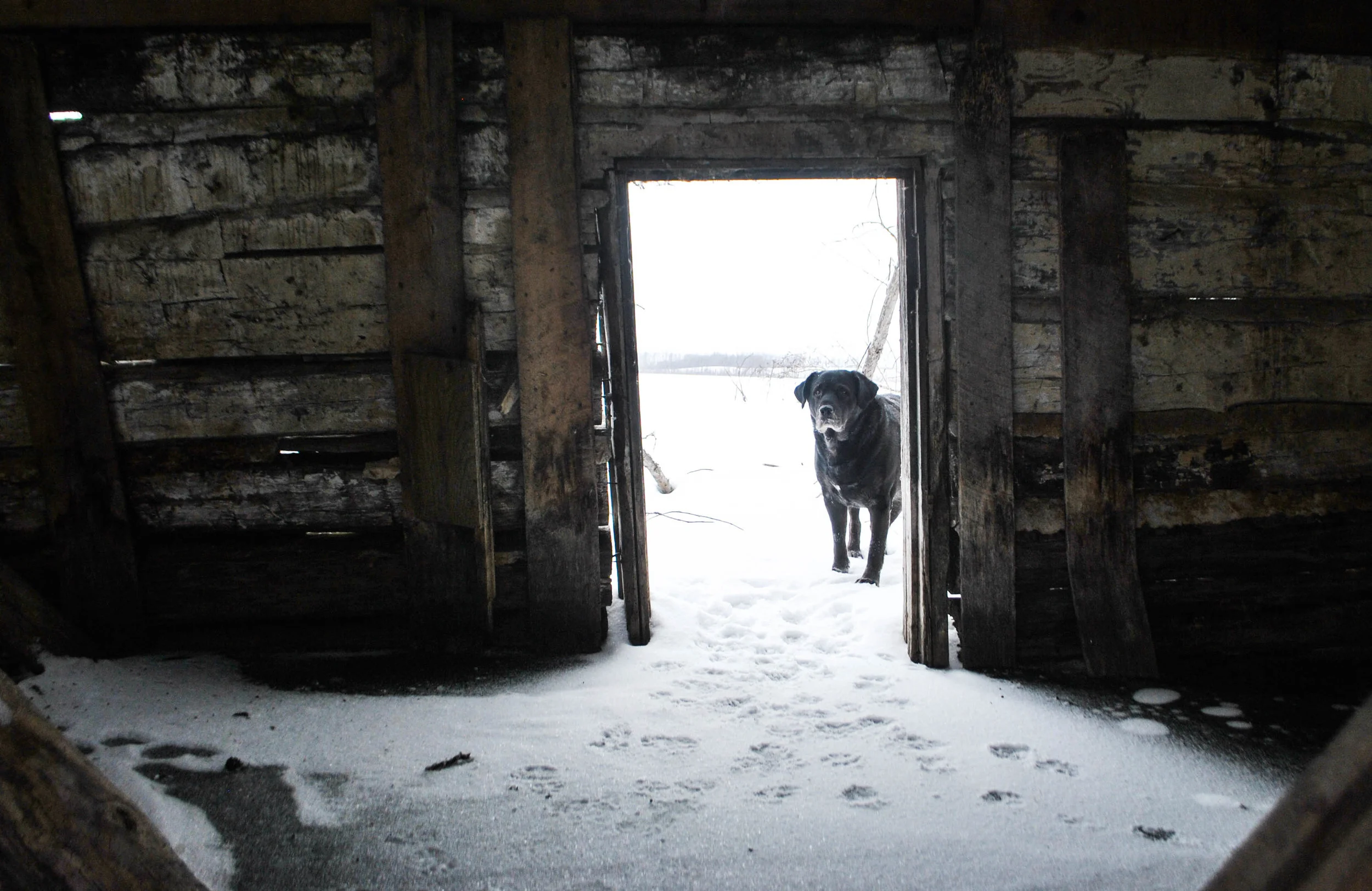 Cabin in December