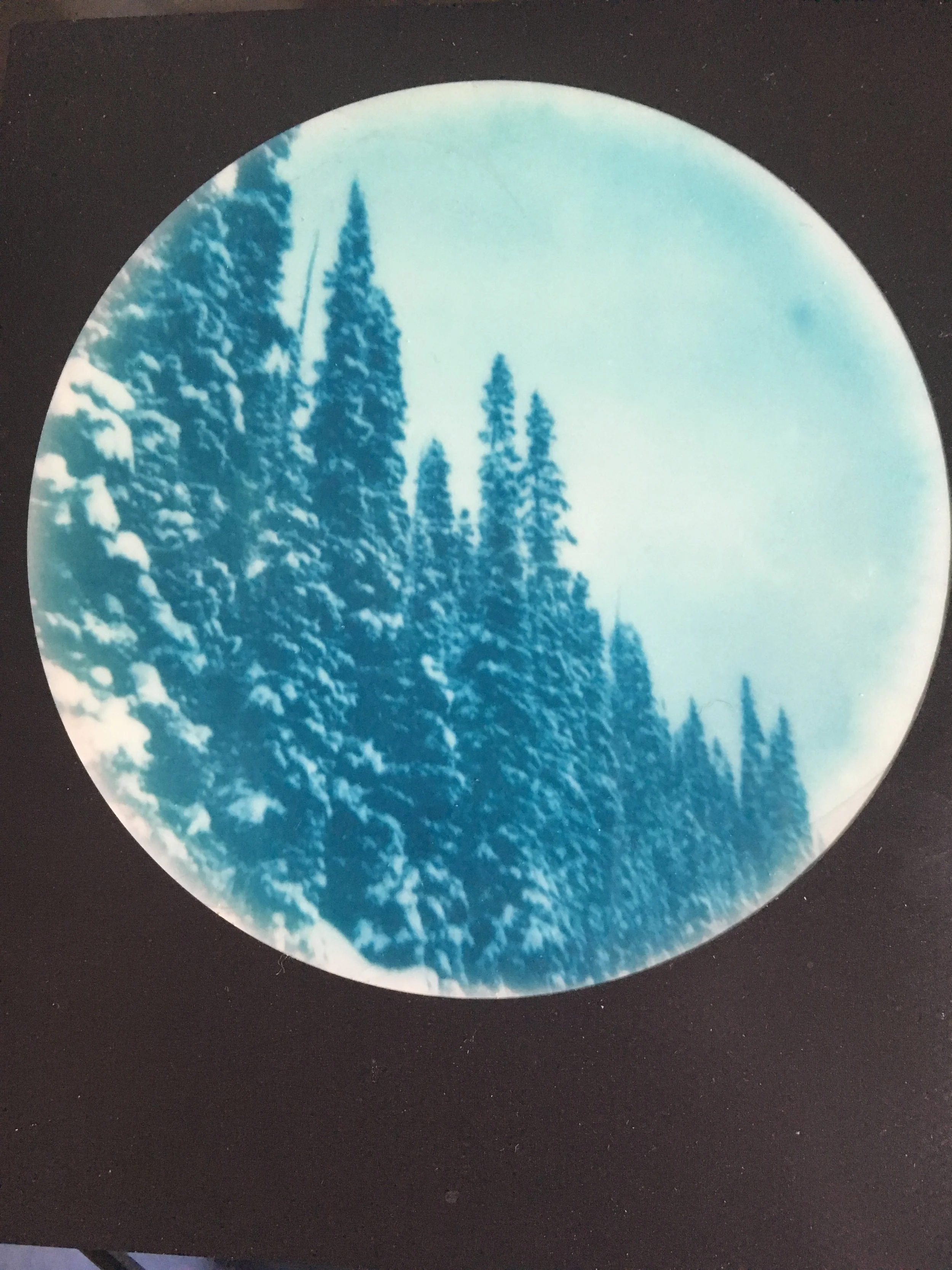 Polaroids from Lake Louise