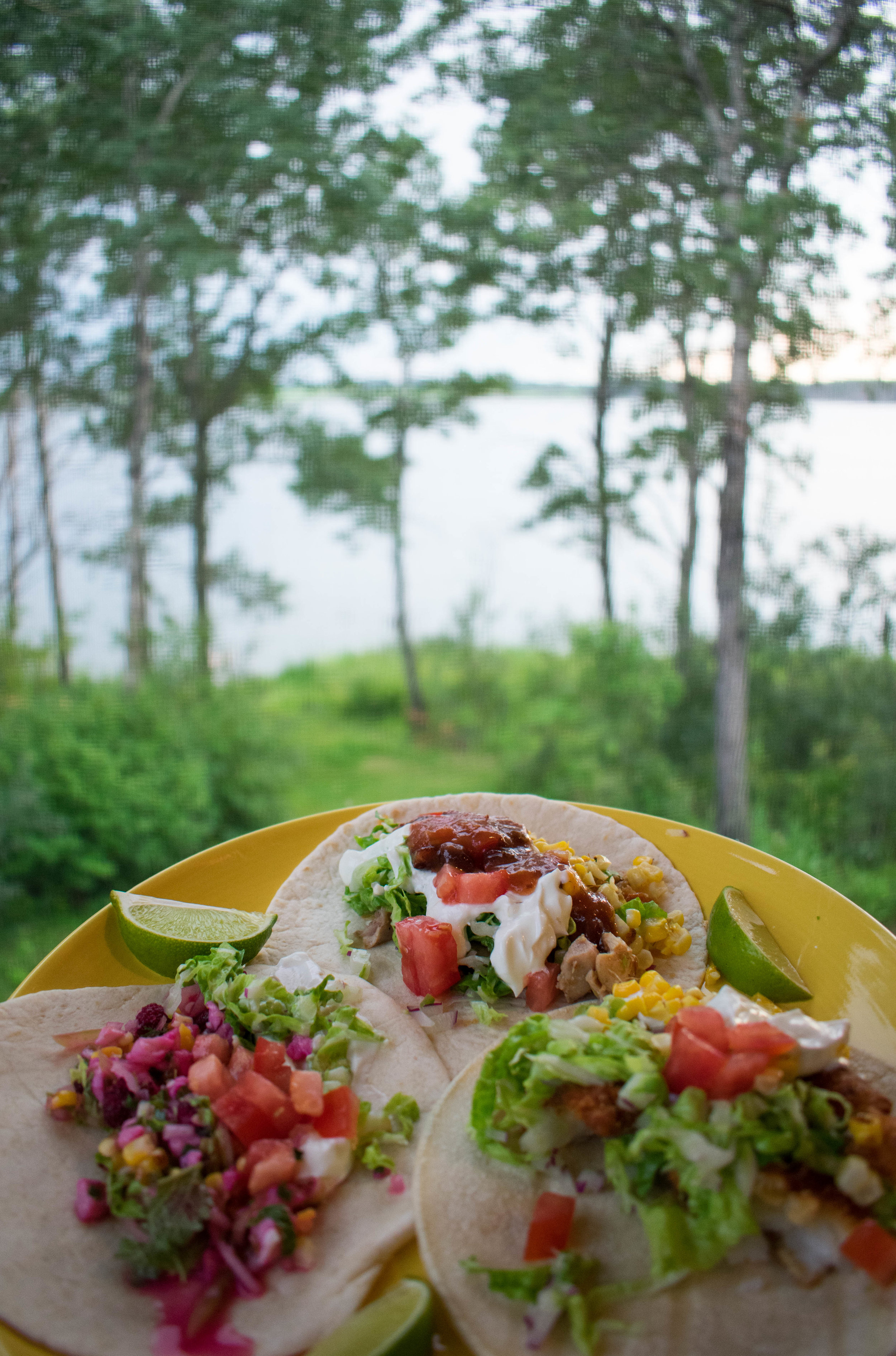 Tacos at the lake