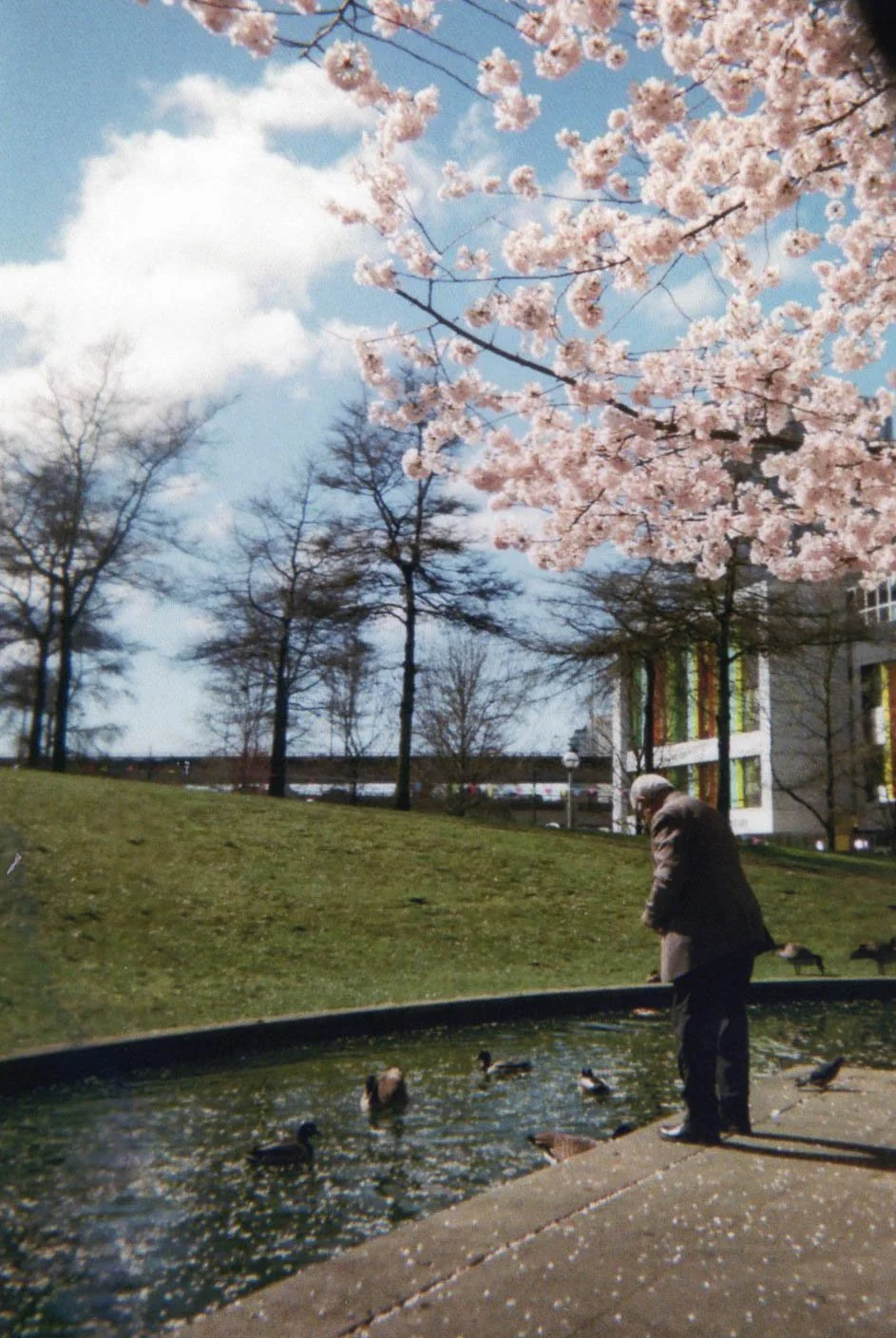 35mm Film from Vancouver