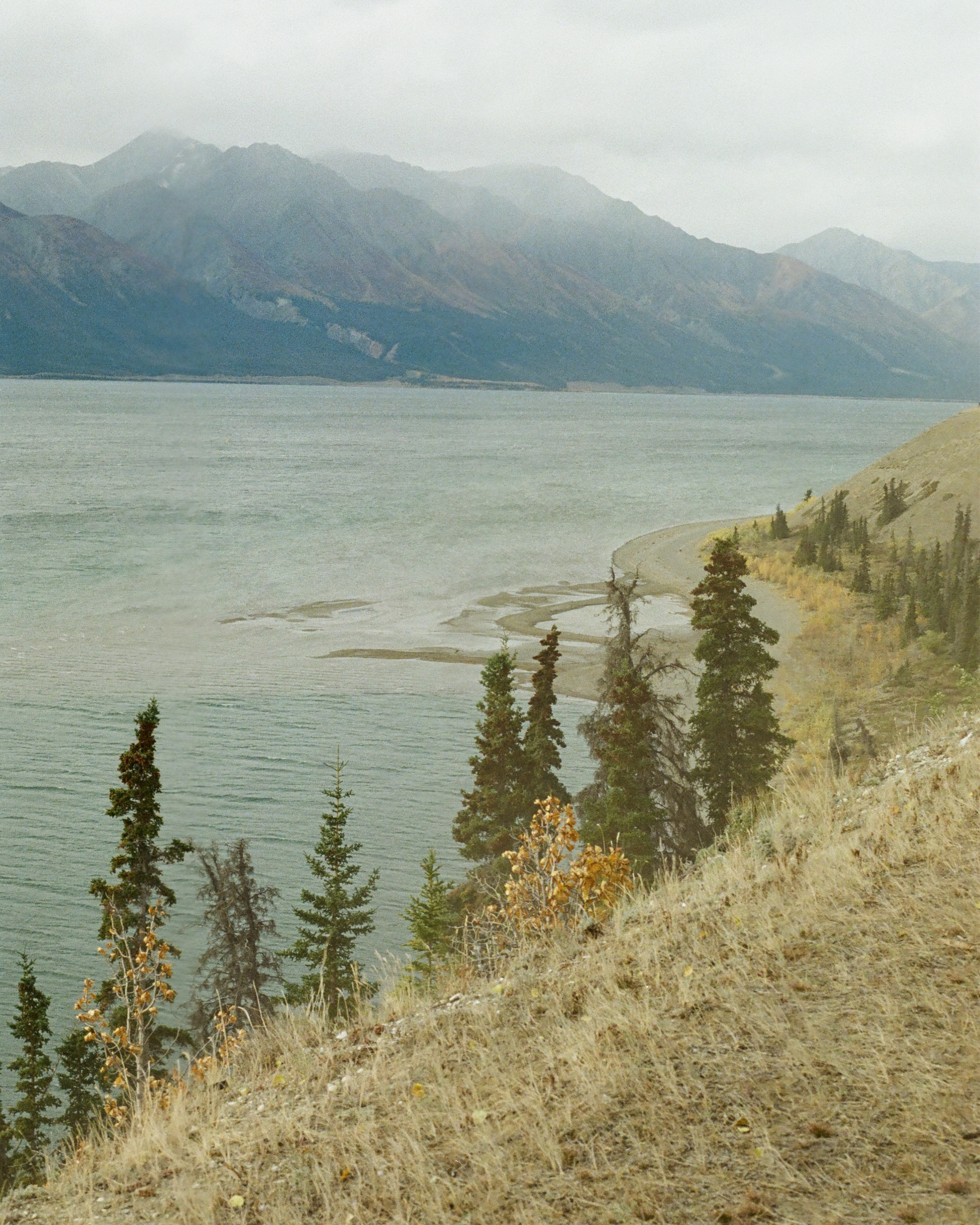 Yukon 8x10