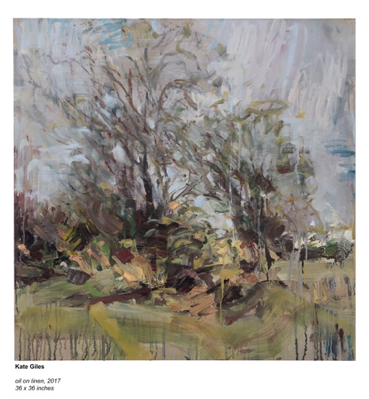 Kate Giles_2_oil on linen 2017_36x36inches.jpeg