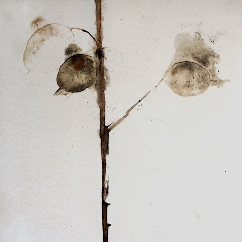 Nicola Coe. Honesty..jpg