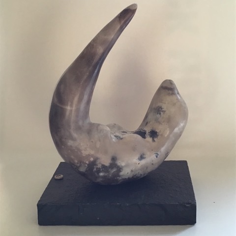 image1-1.jpg