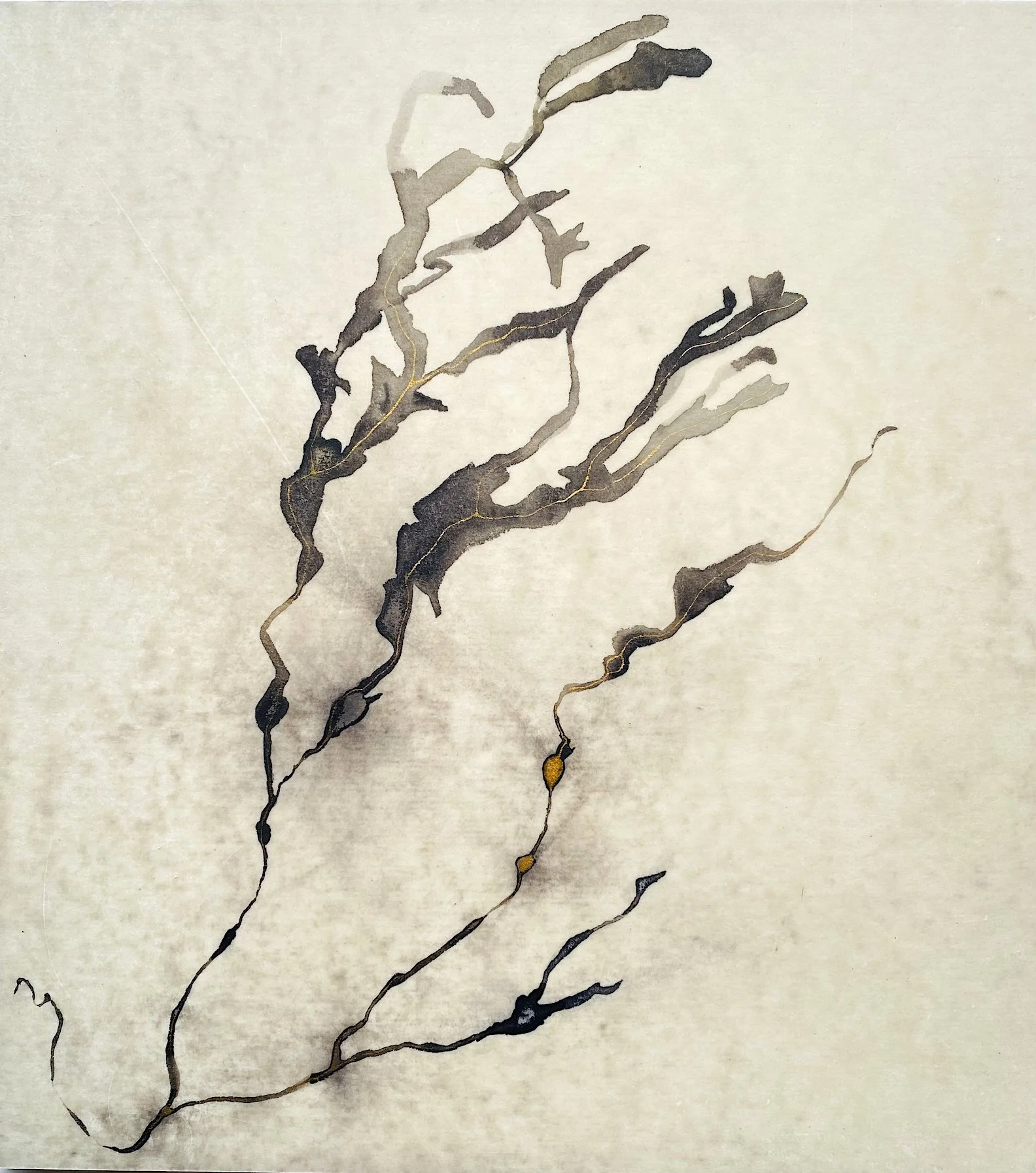 seawweed 1.jpg