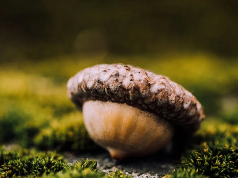 Photo by Aaron Burden on Unsplash