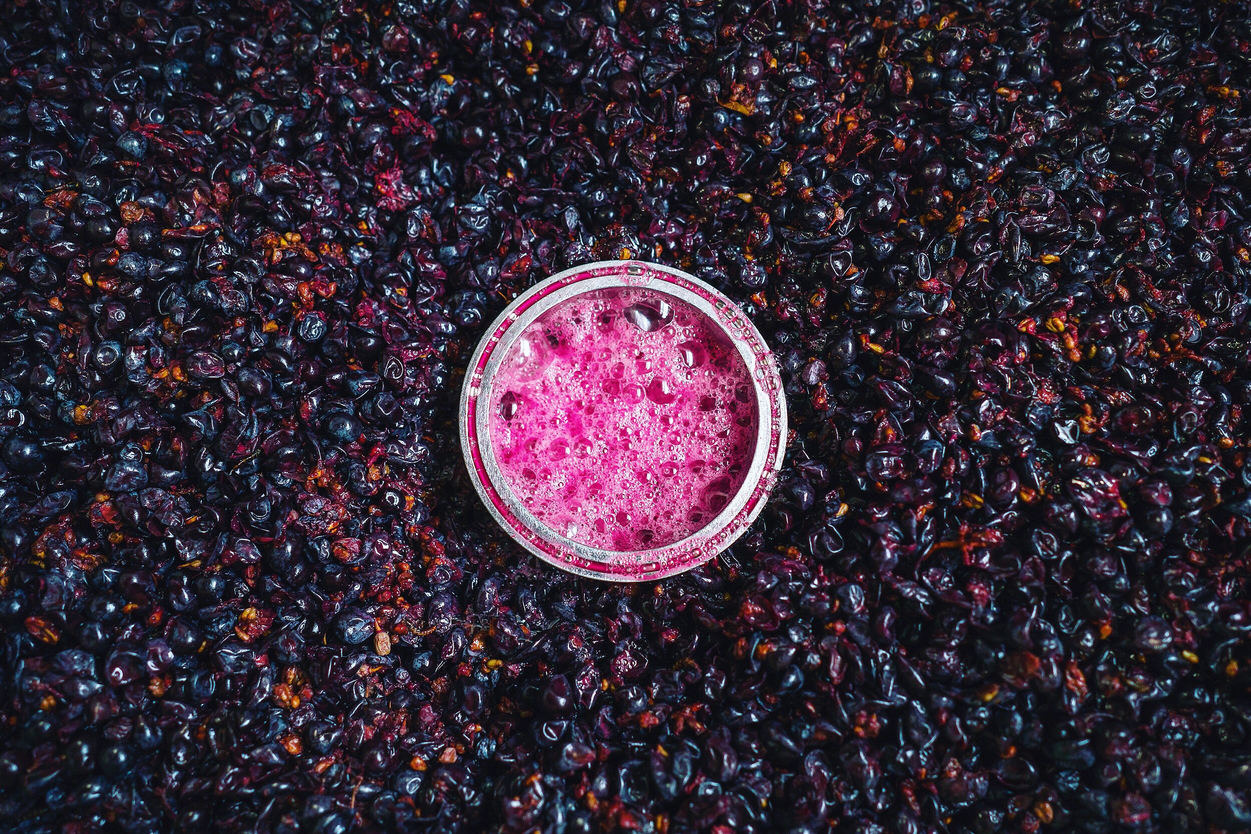 Twill Cellars | Newberg, Oregon